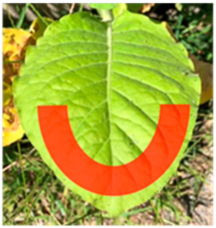 Horticulturae 10 00480 g002 Horticulturae 10 00480 g002