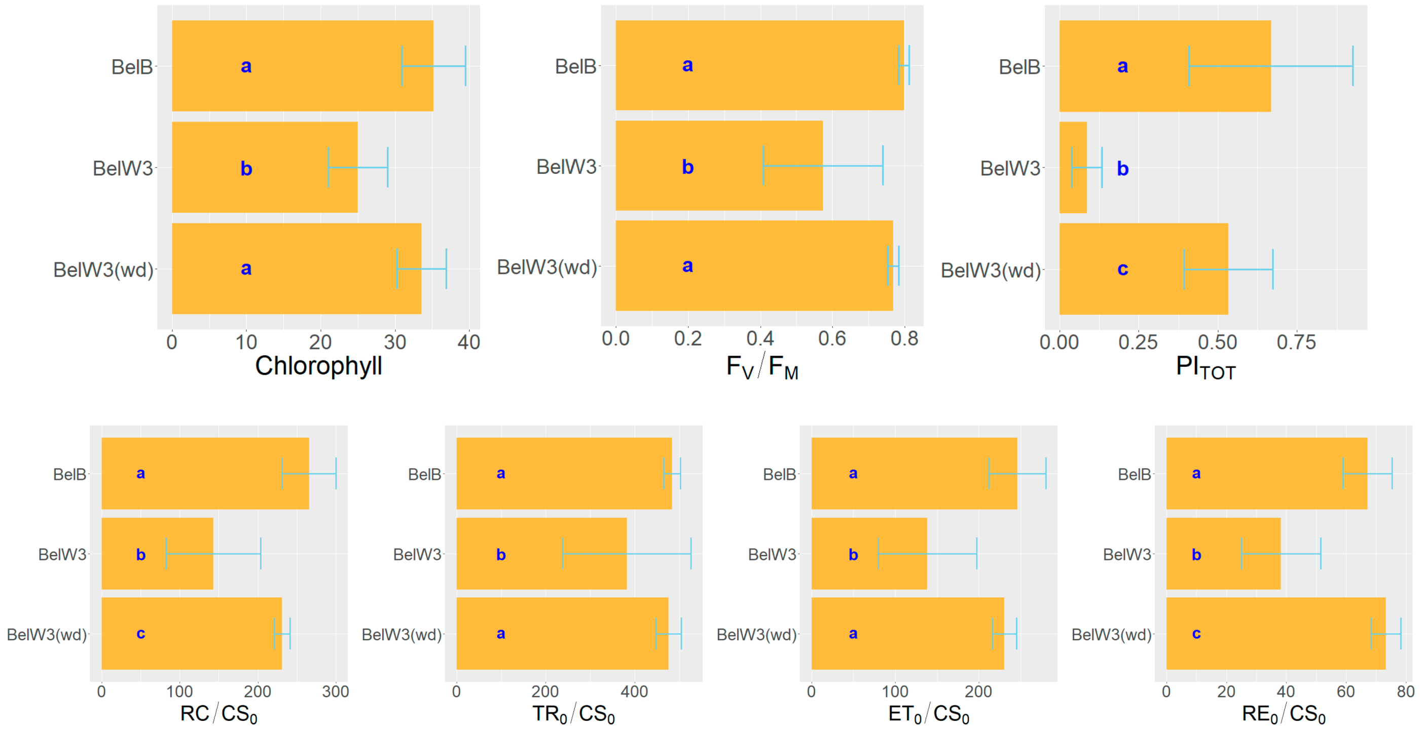 Horticulturae 10 00480 g004 Horticulturae 10 00480 g004