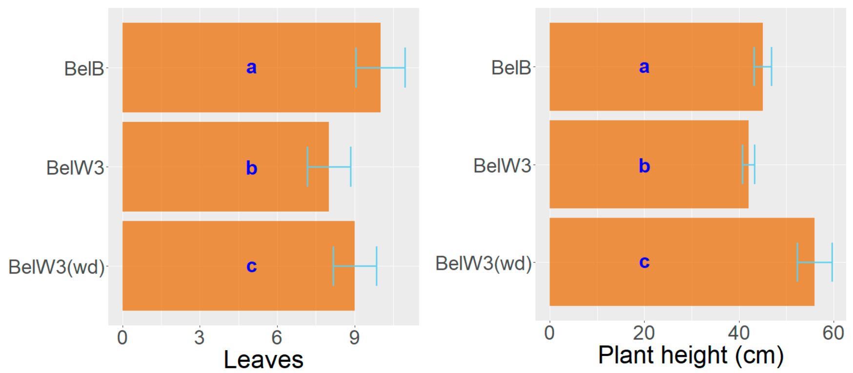 Horticulturae 10 00480 g006 Horticulturae 10 00480 g006