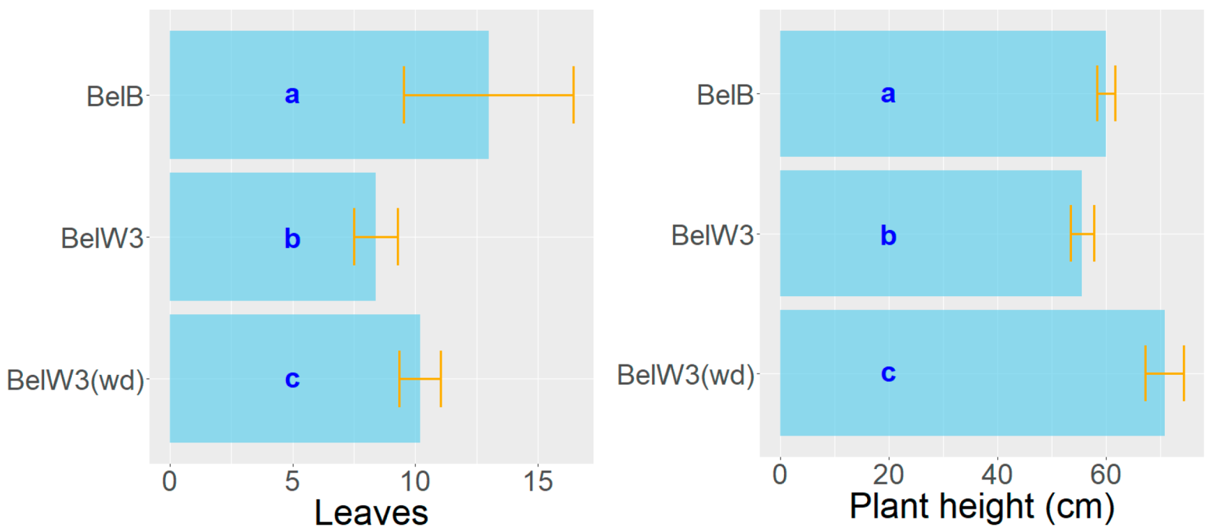 Horticulturae 10 00480 g009 Horticulturae 10 00480 g009