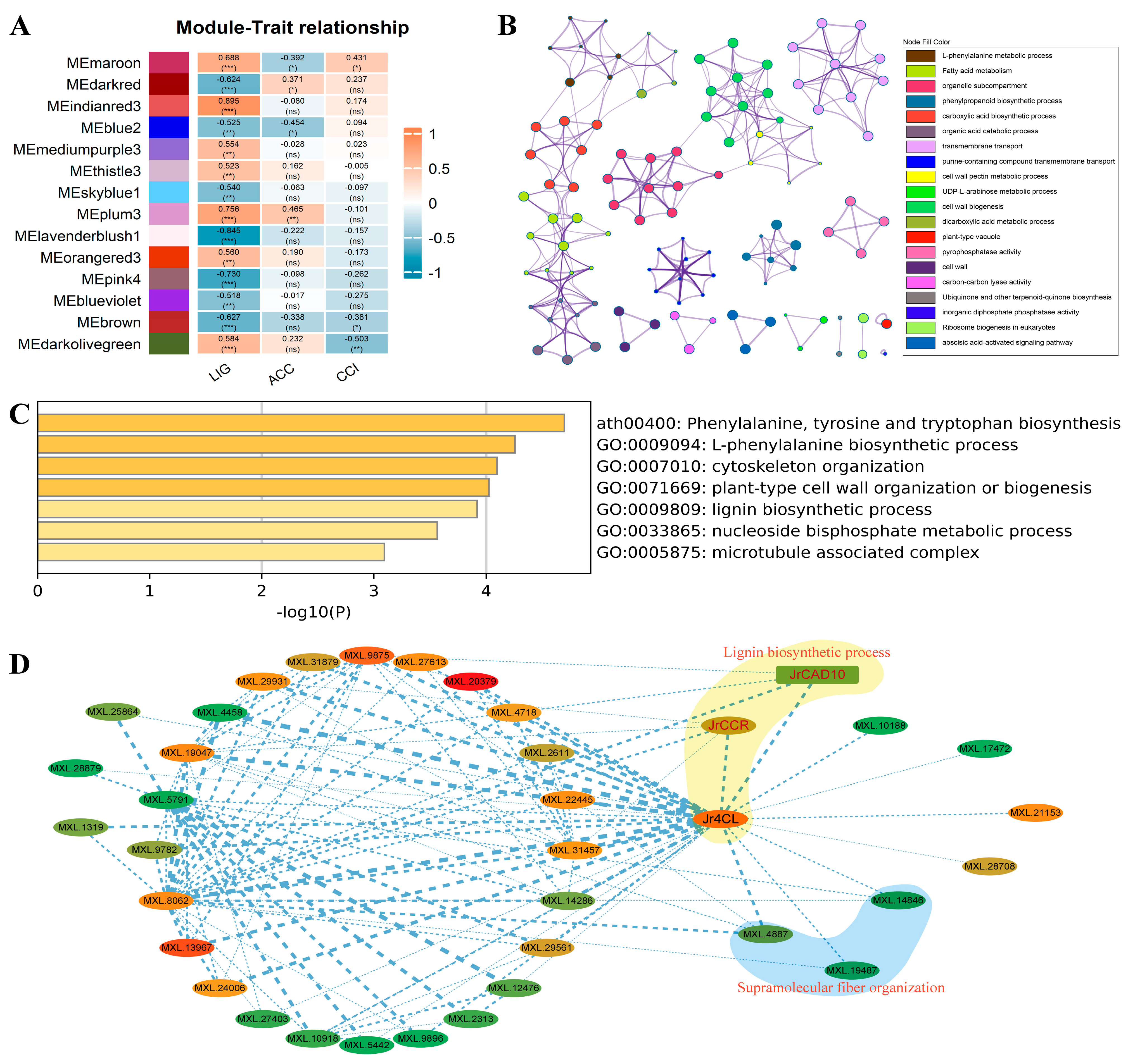 Horticulturae 10 00487 g002