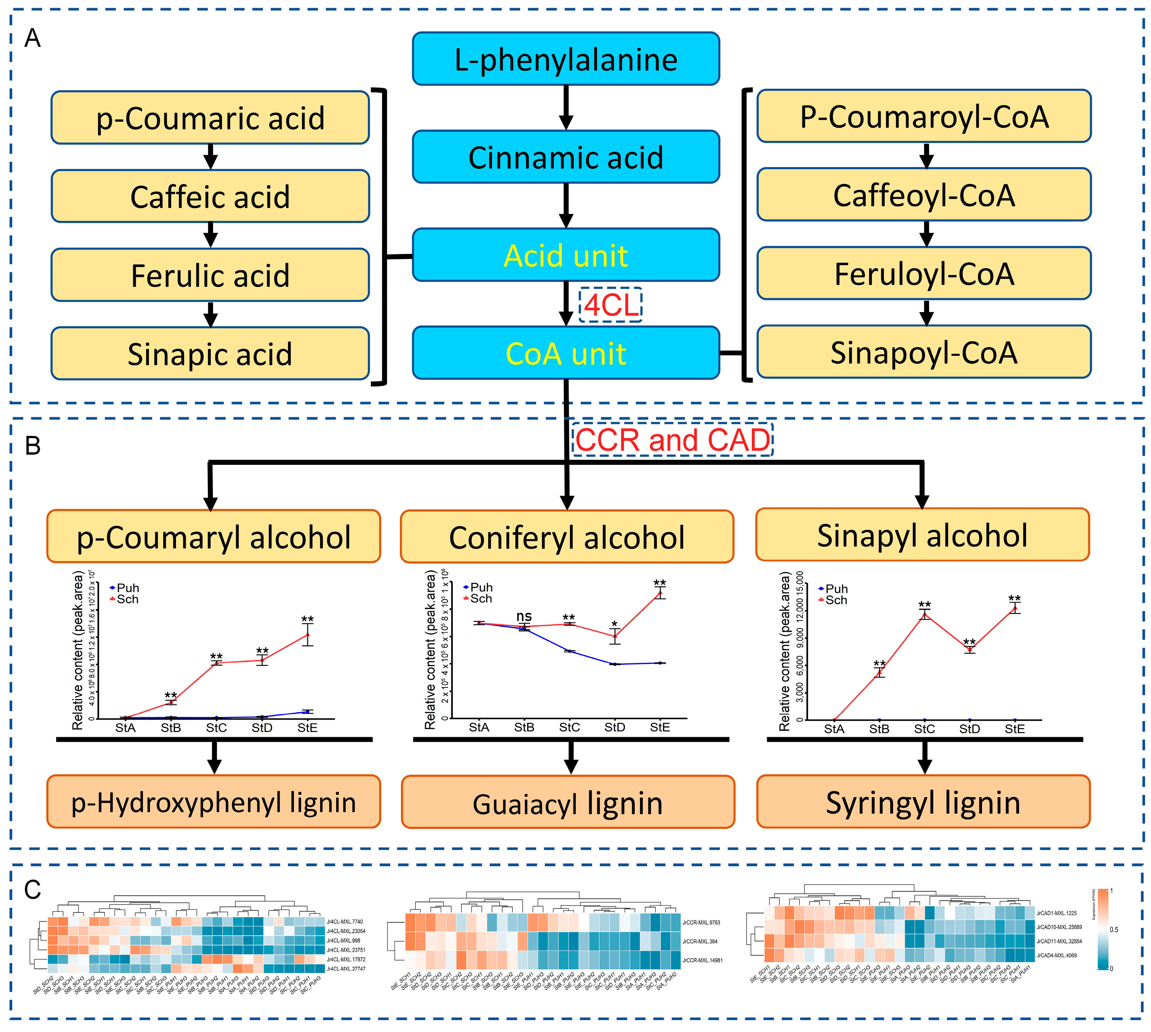 Horticulturae 10 00487 g004