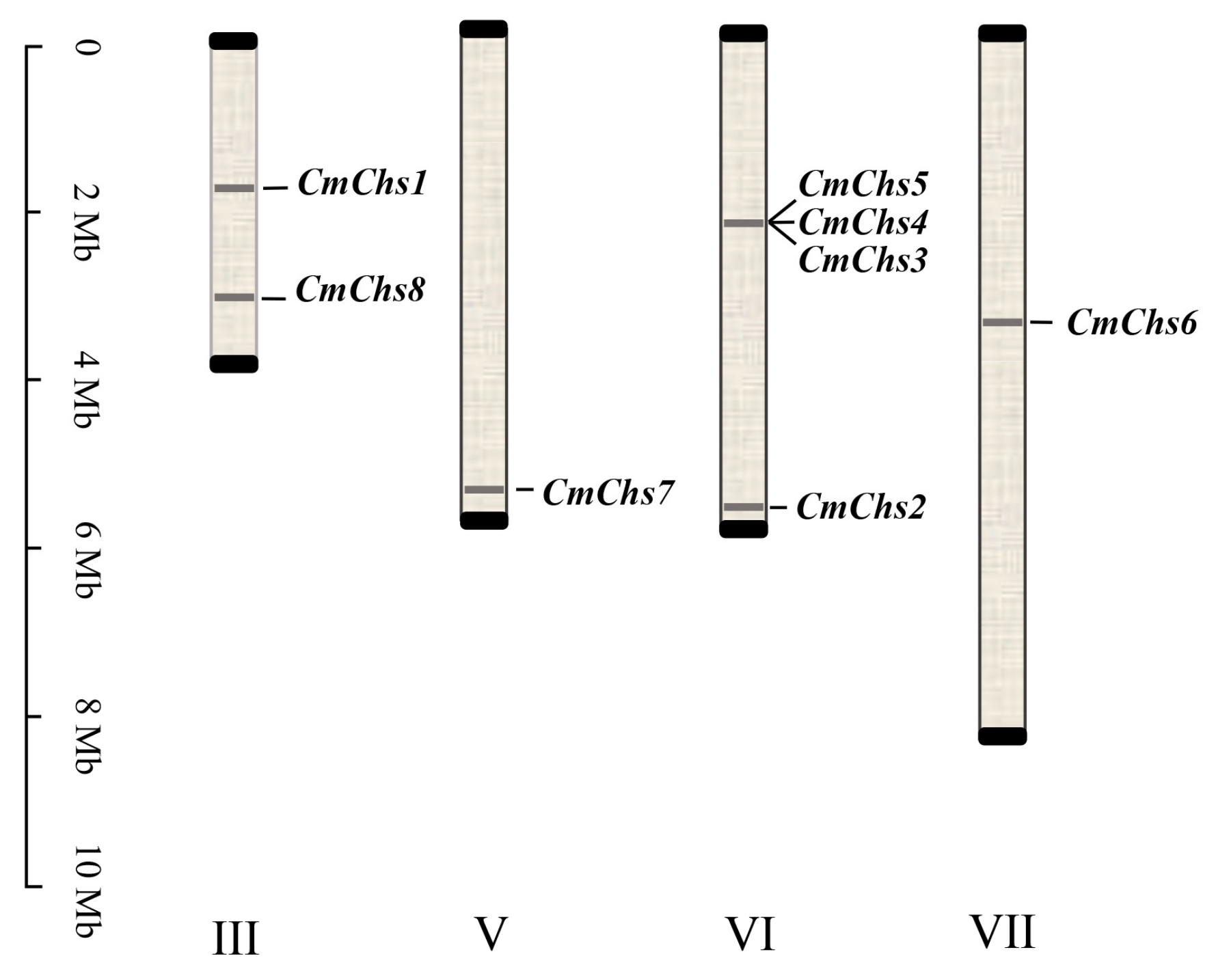 Horticulturae 10 00494 g001