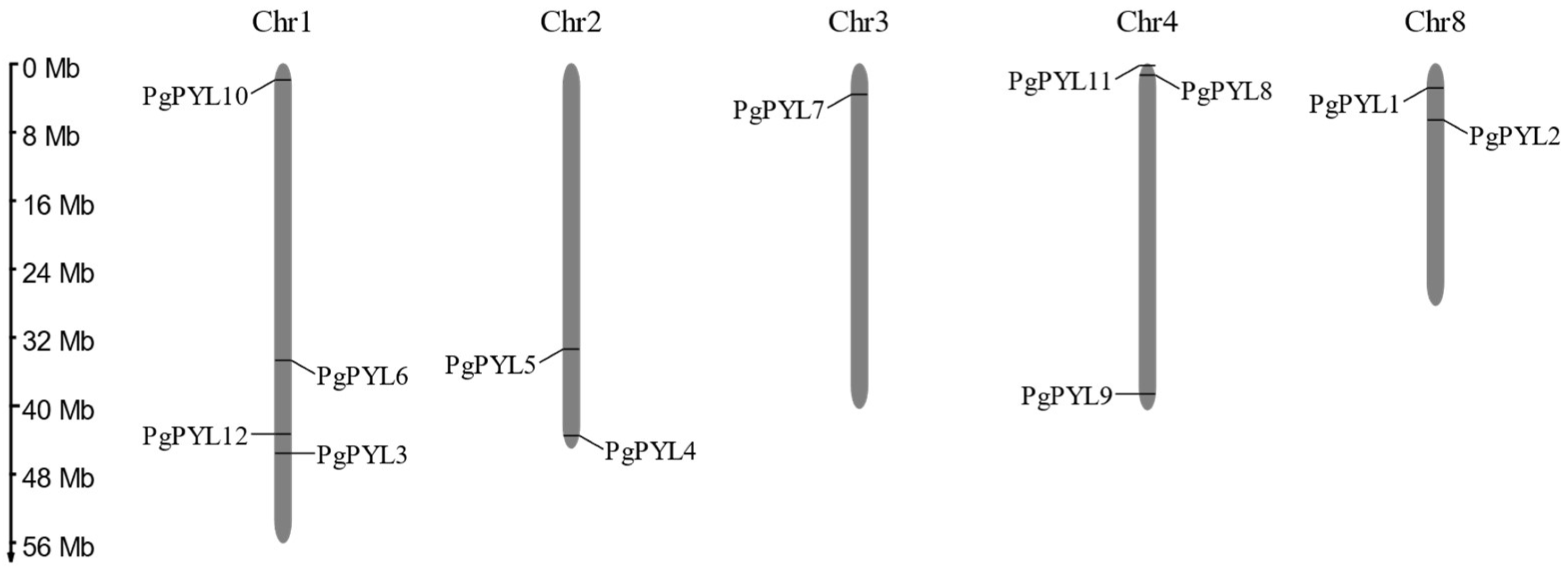 Horticulturae 10 00502 g001