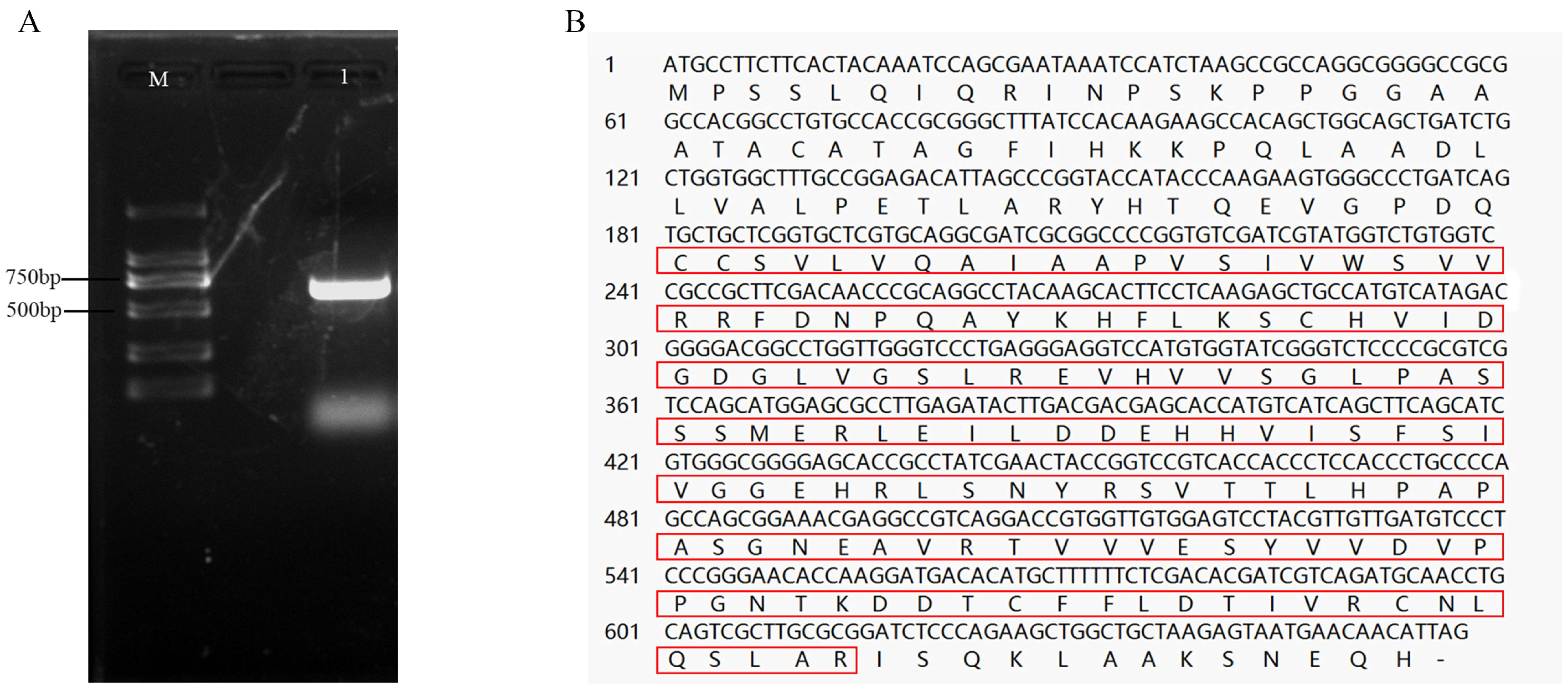 Horticulturae 10 00502 g009