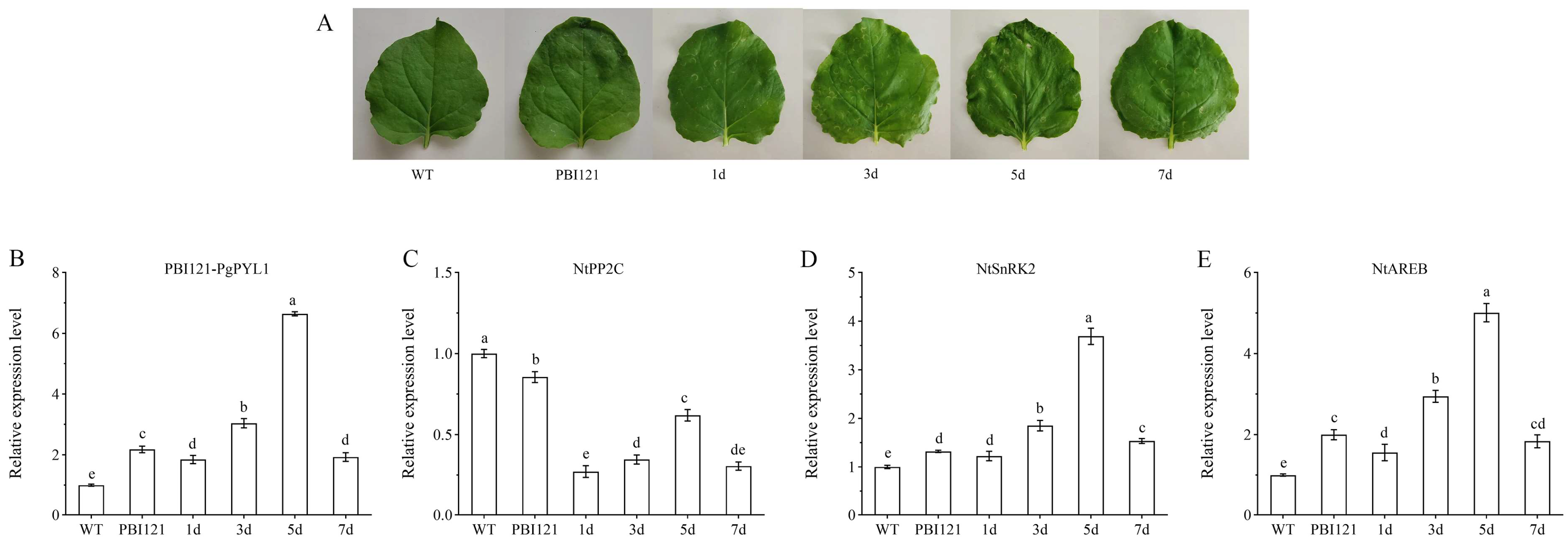 Horticulturae 10 00502 g010