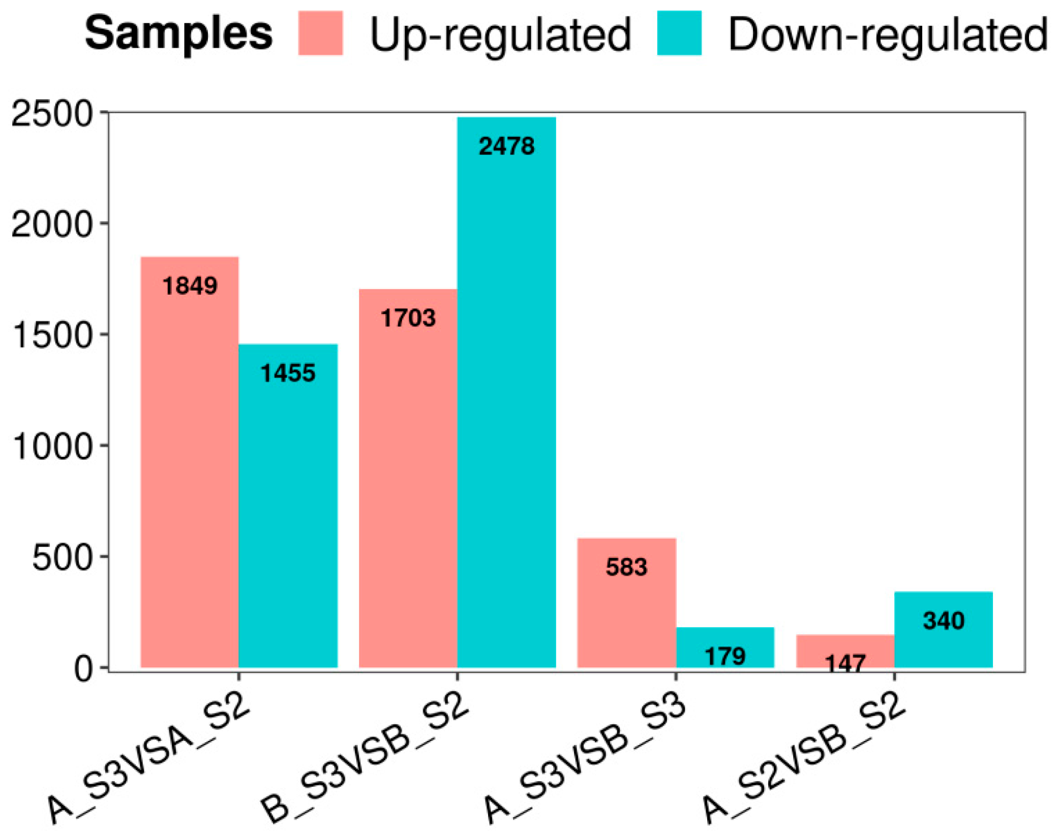 Horticulturae 10 00507 g003