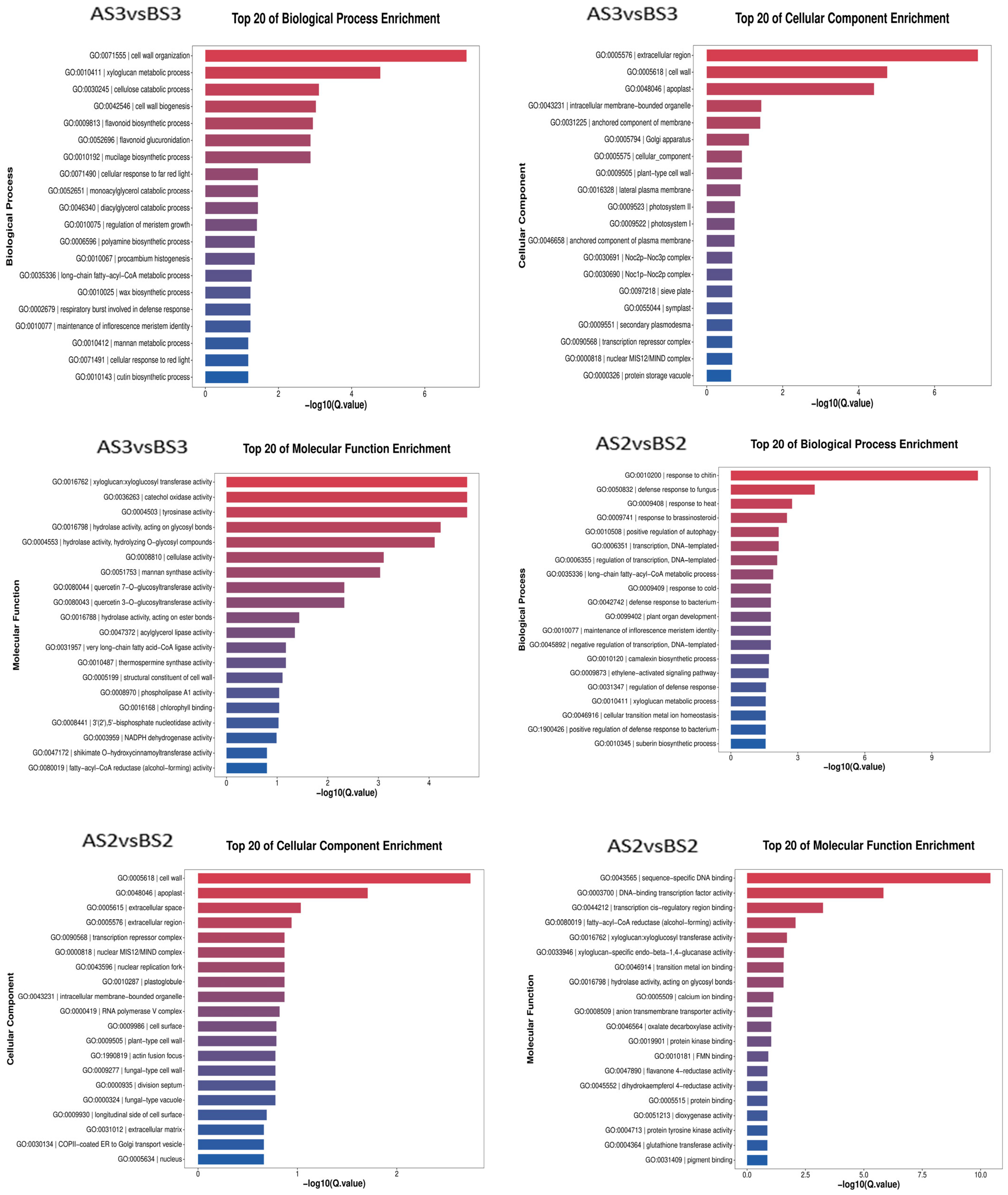 Horticulturae 10 00507 g006b