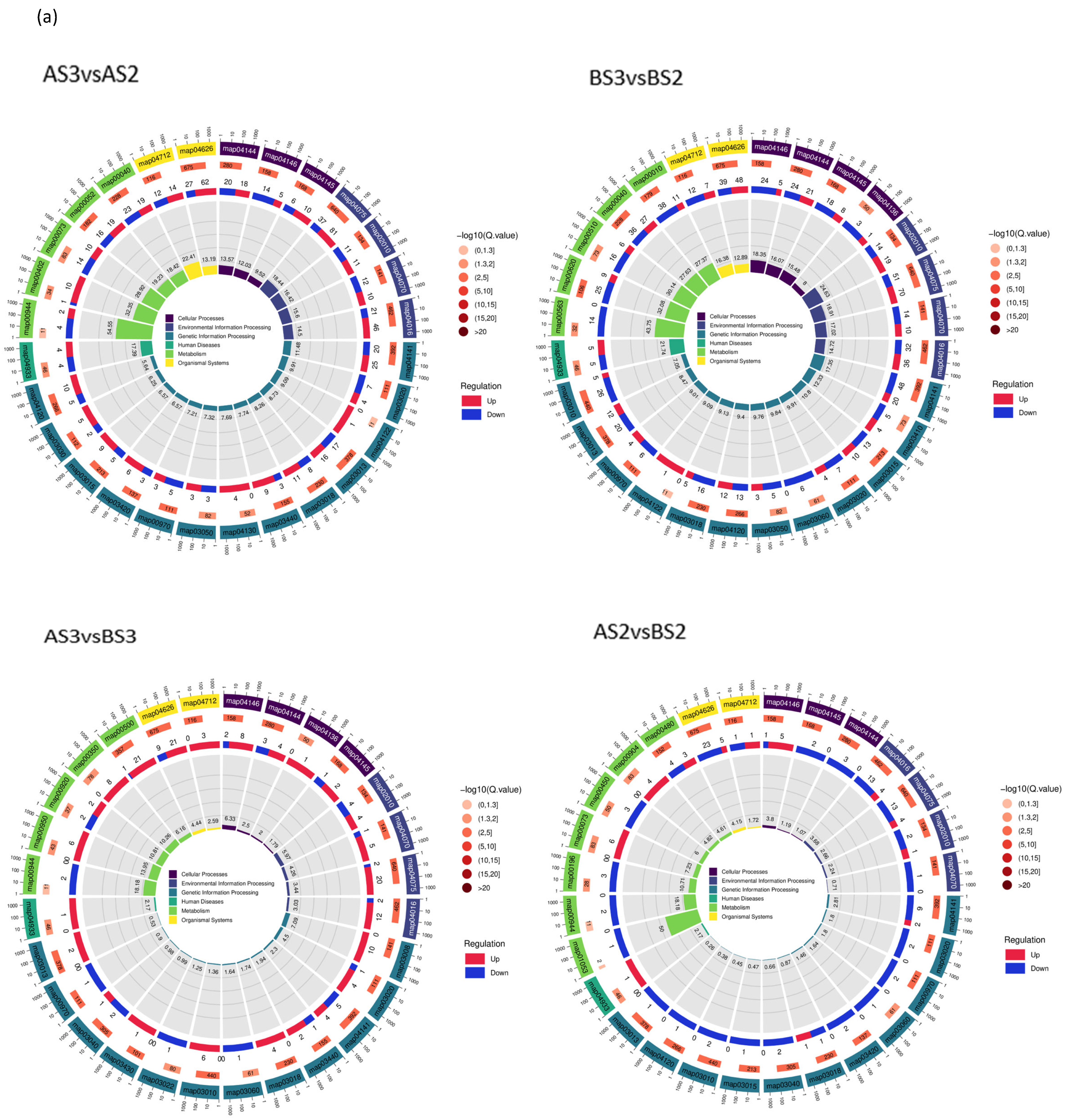 Horticulturae 10 00507 g007a