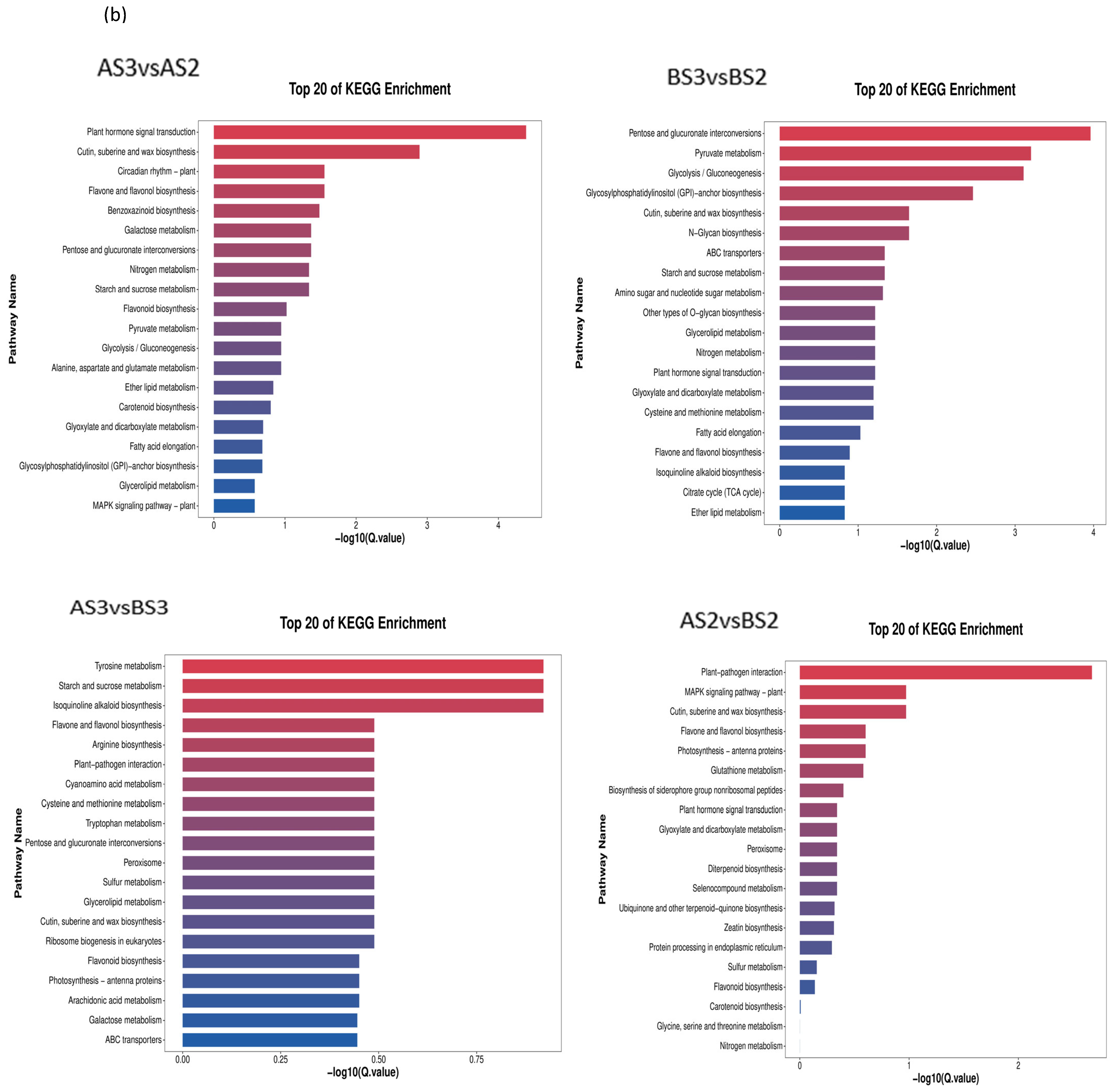 Horticulturae 10 00507 g007b