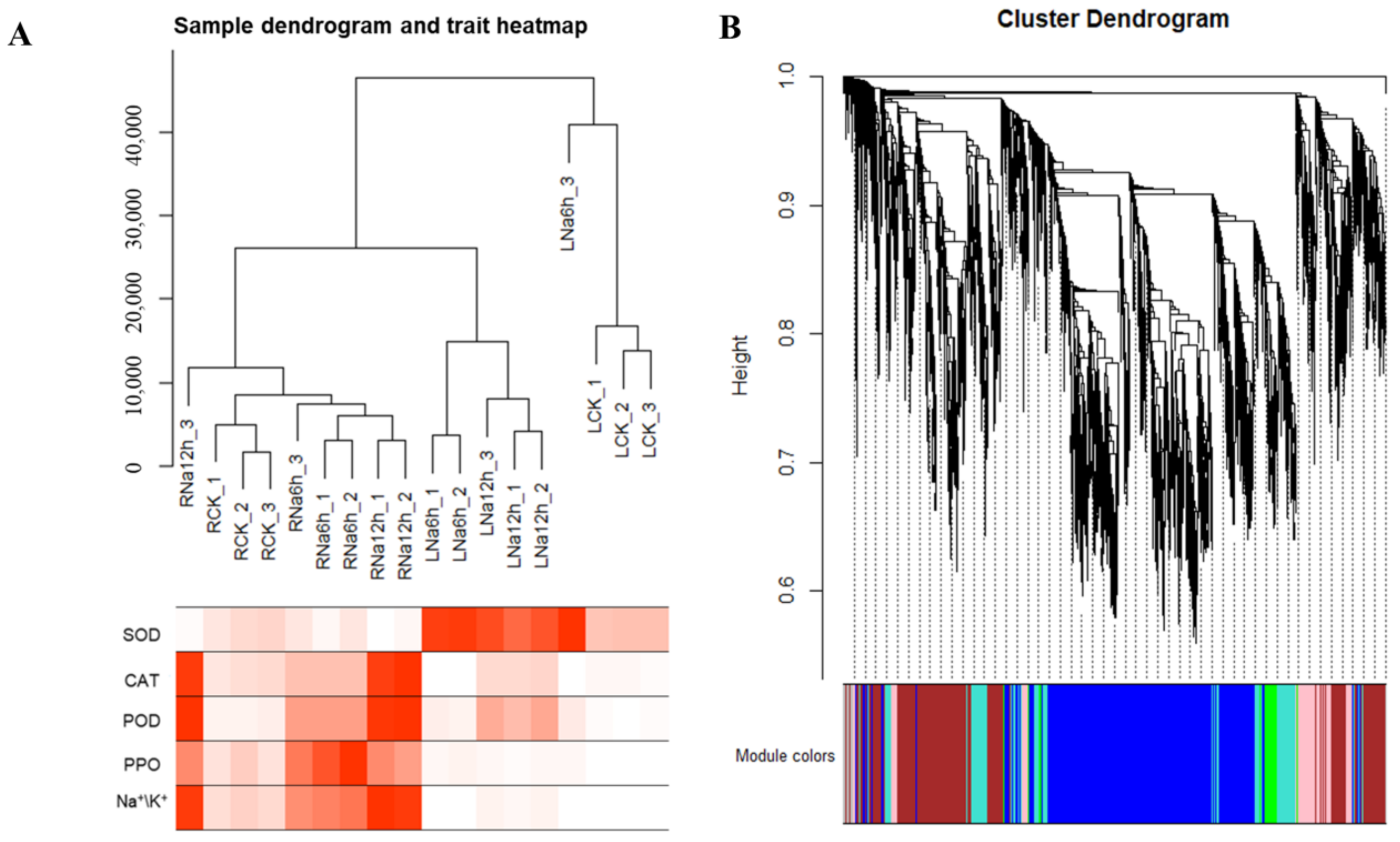 Horticulturae 10 00510 g008