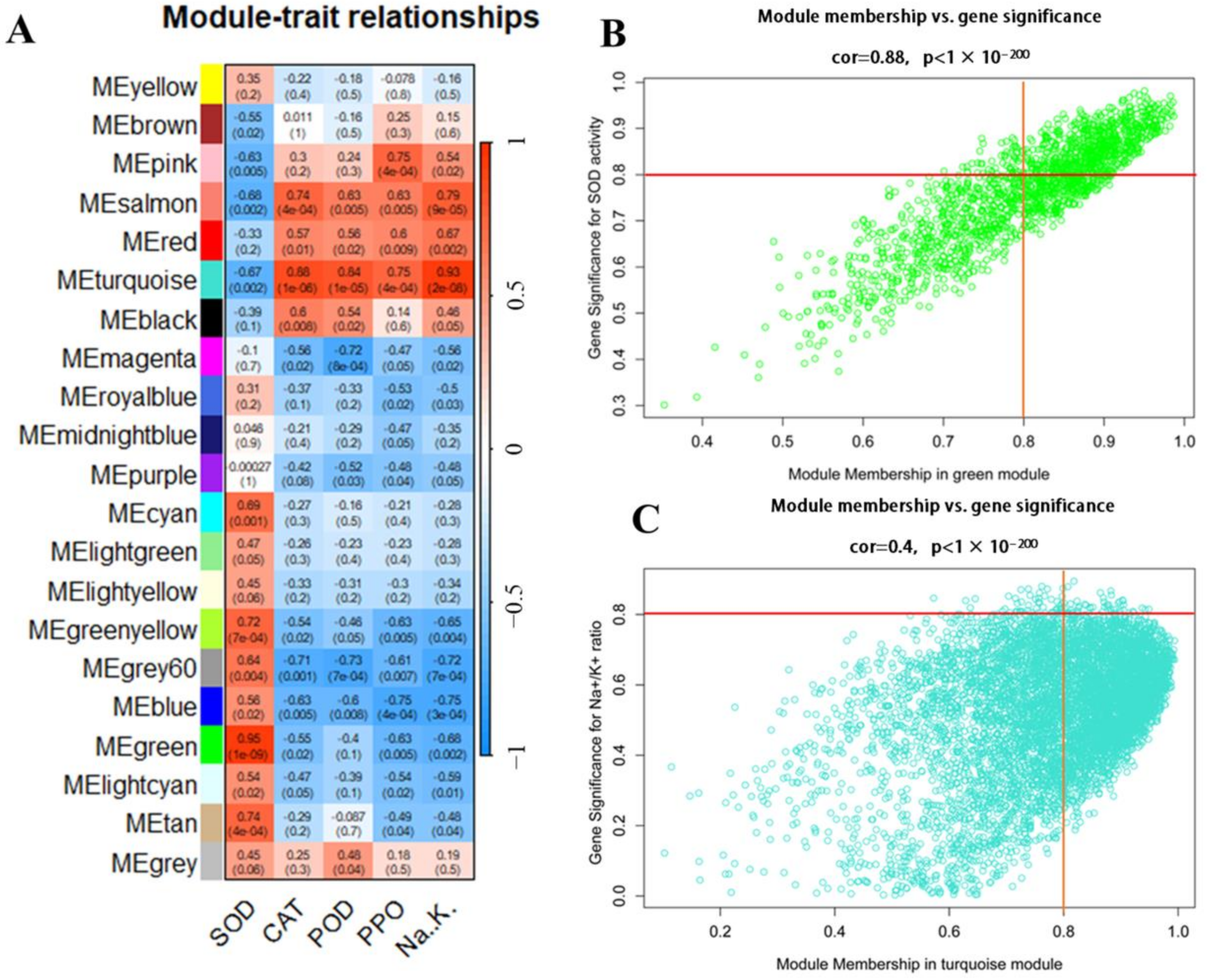 Horticulturae 10 00510 g009