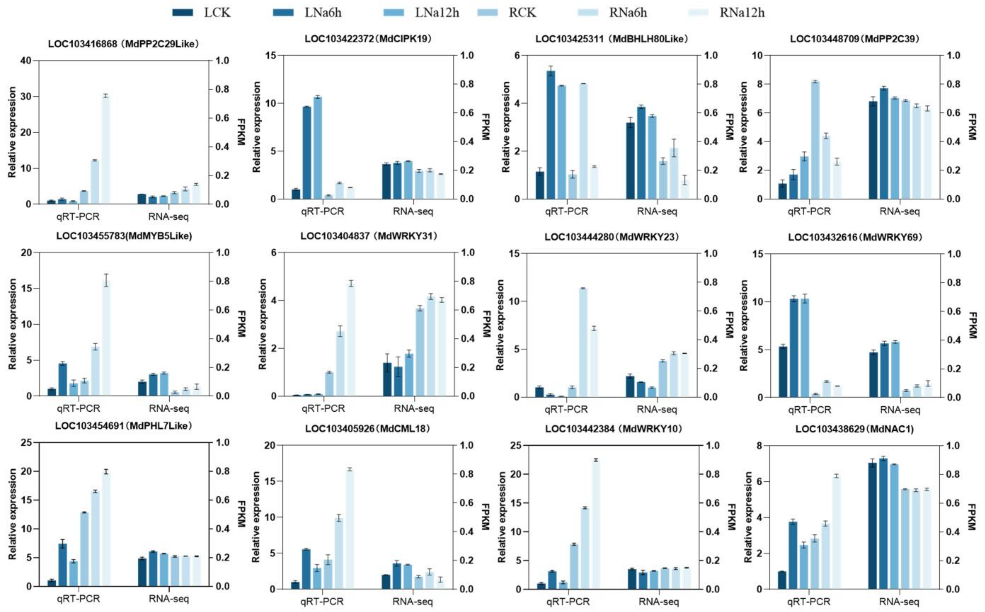 Horticulturae 10 00510 g010