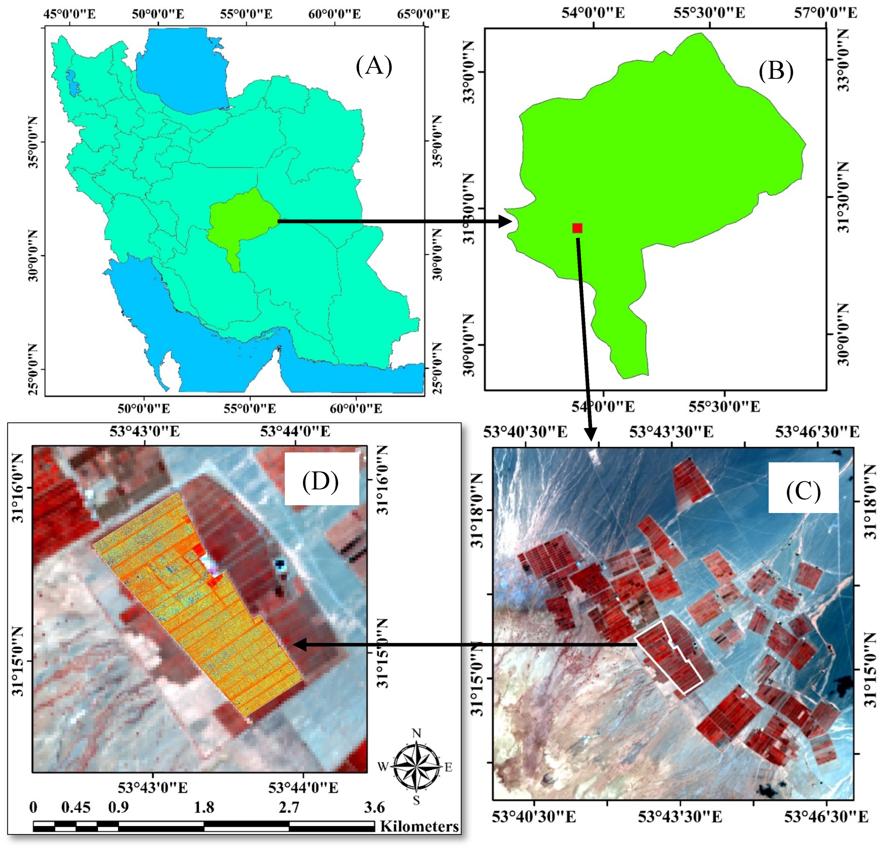 Horticulturae 10 00515 g001 Horticulturae 10 00515 g001