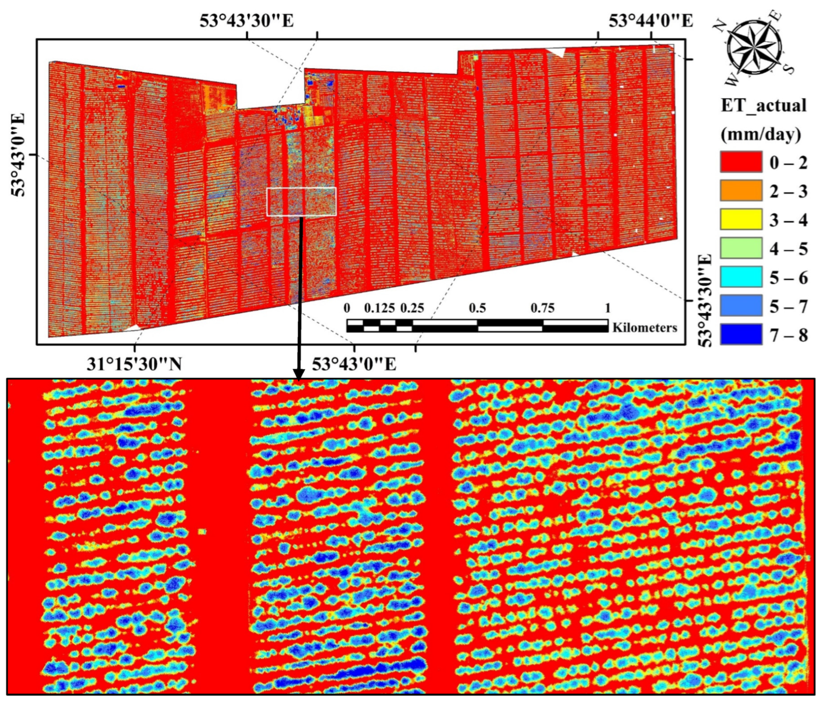 Horticulturae 10 00515 g004 Horticulturae 10 00515 g004