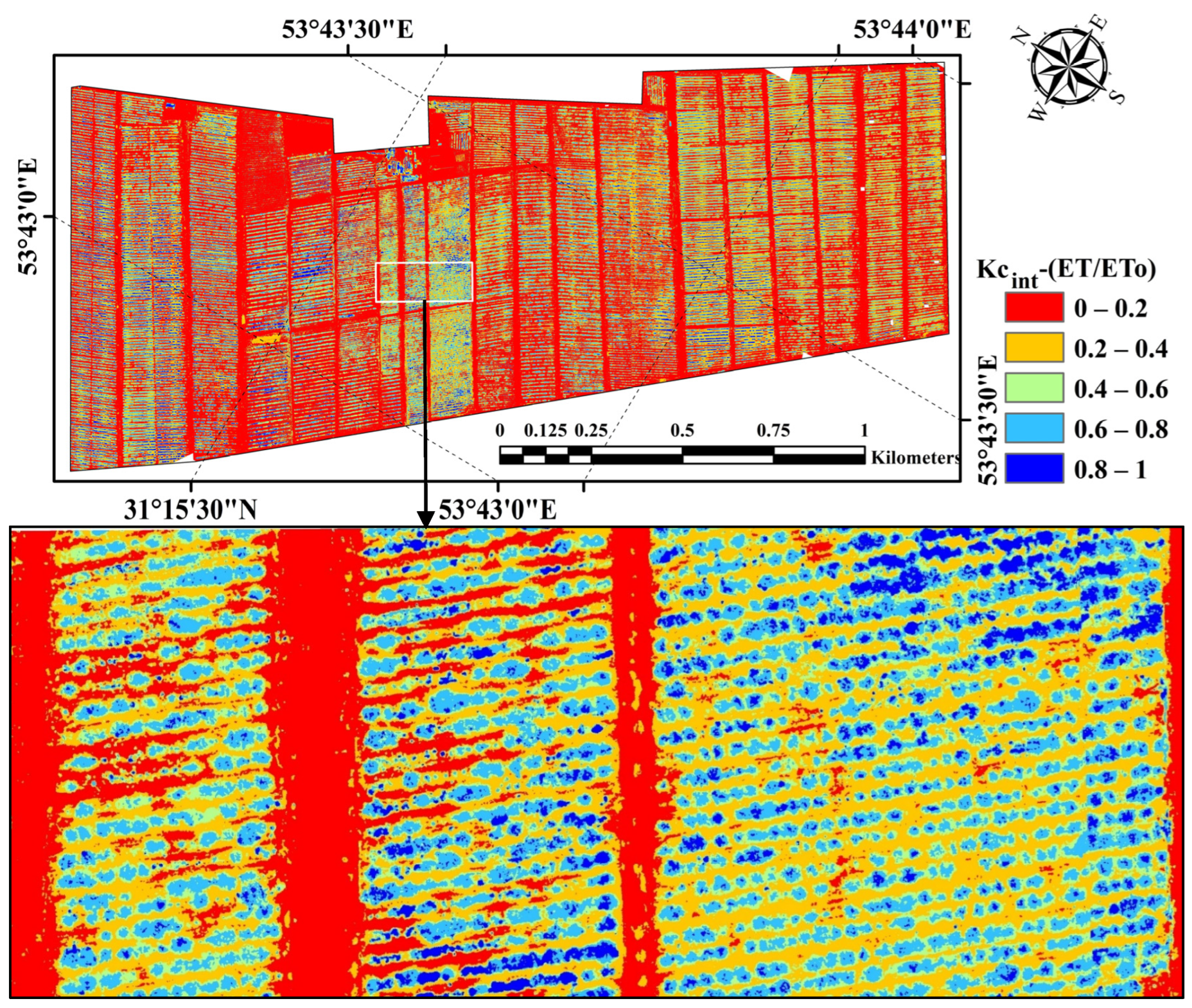 Horticulturae 10 00515 g005 Horticulturae 10 00515 g005