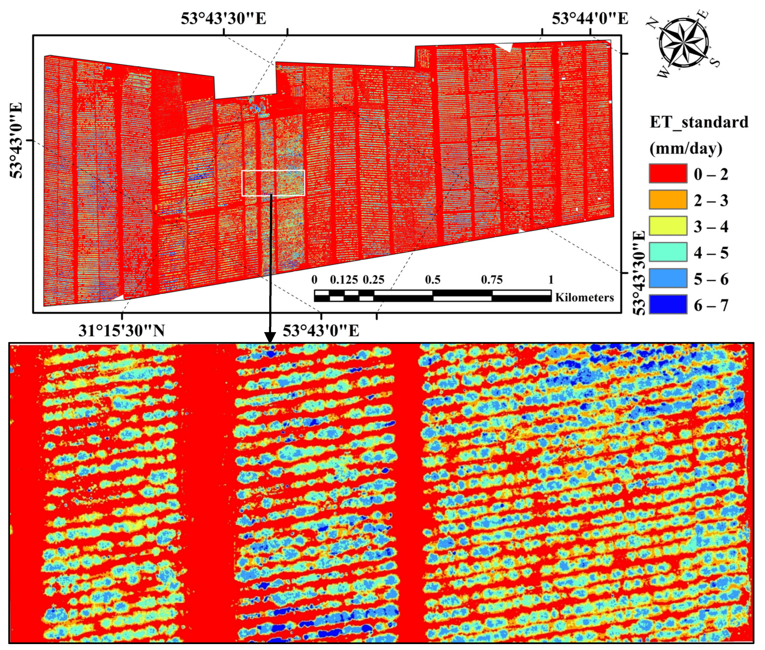 Horticulturae 10 00515 g007 Horticulturae 10 00515 g007