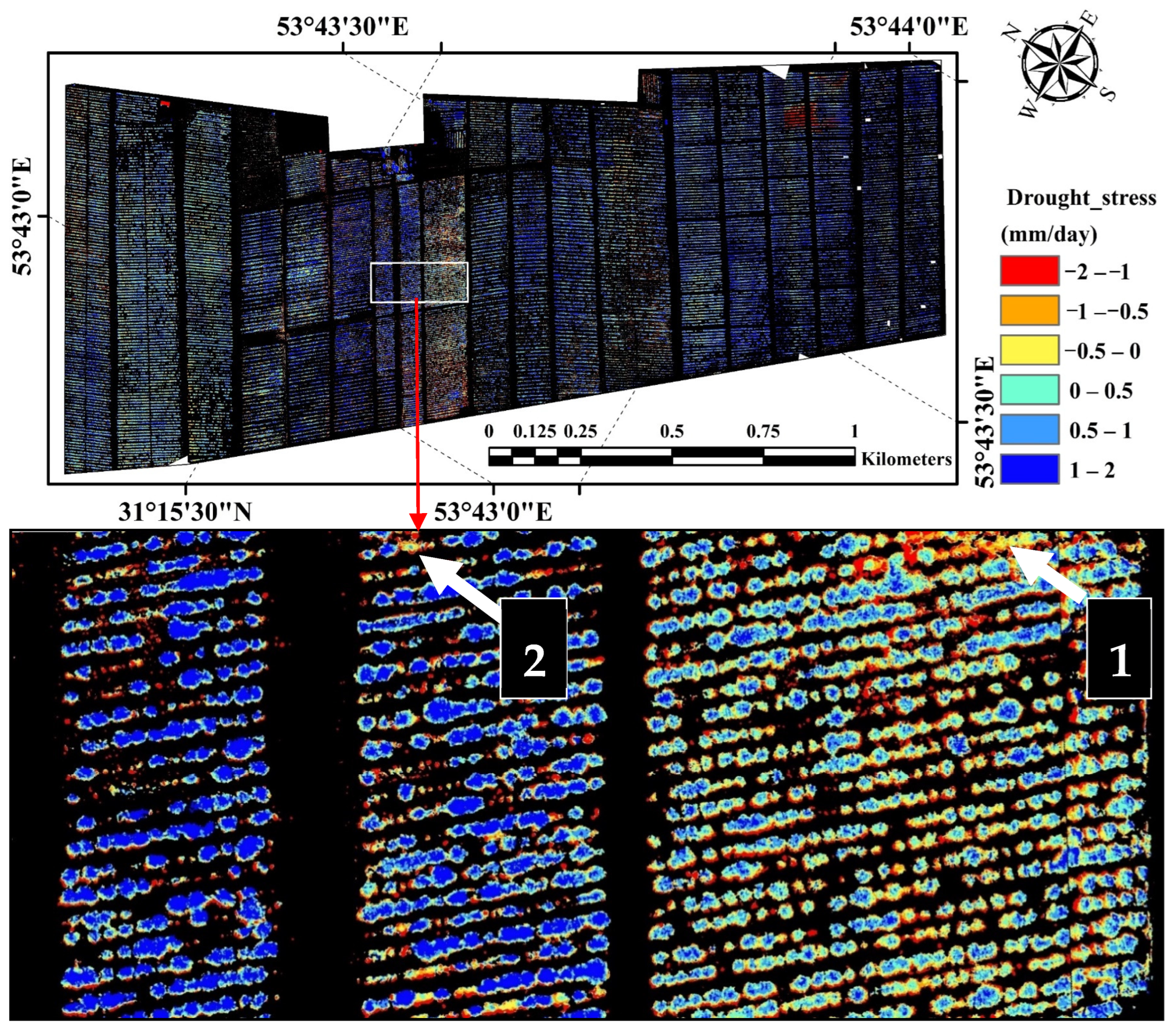 Horticulturae 10 00515 g008 Horticulturae 10 00515 g008