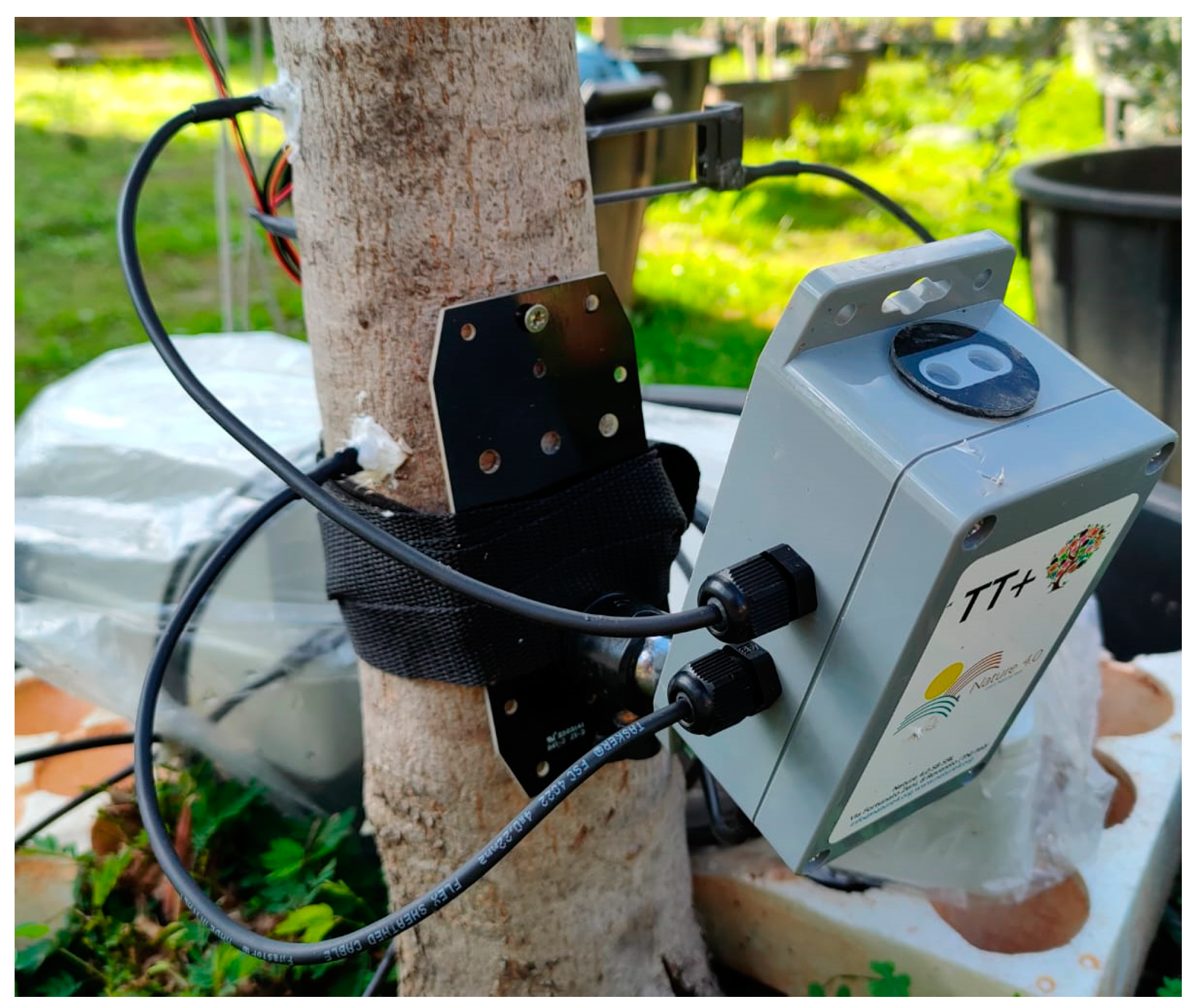 Horticulturae 10 00516 g003