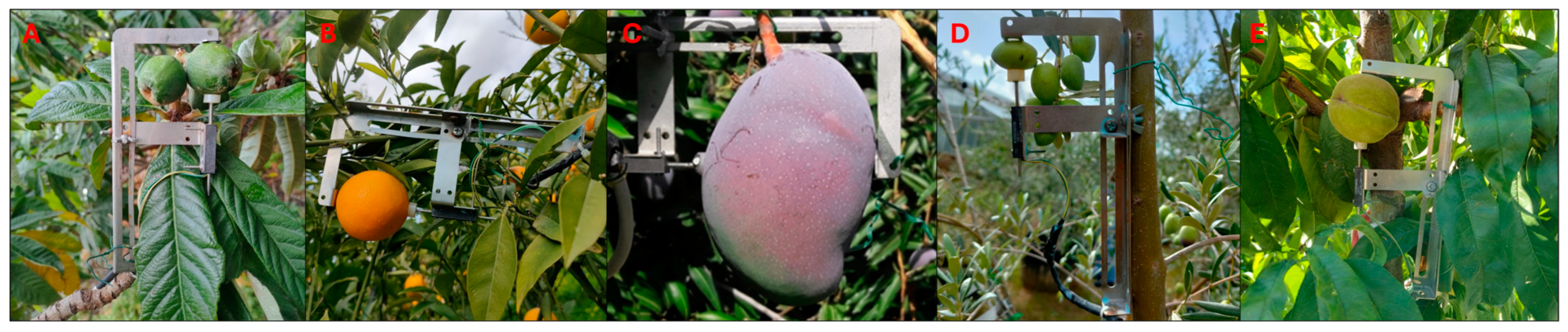 Horticulturae 10 00516 g004