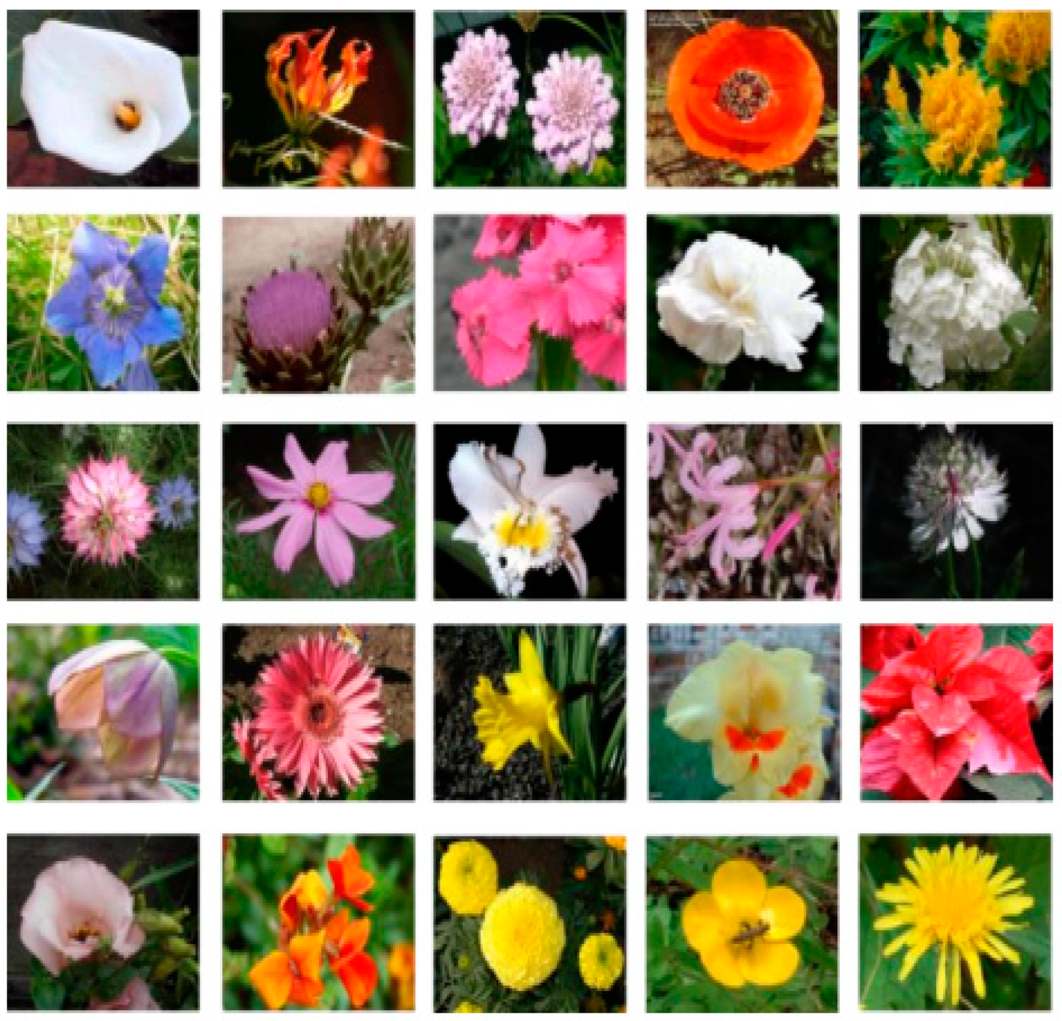 Horticulturae | Free Full-Text | Research on a Flower Recognition ...
