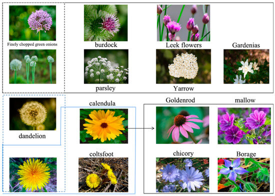 Horticulturae | Free Full-Text | Research on a Flower Recognition ...