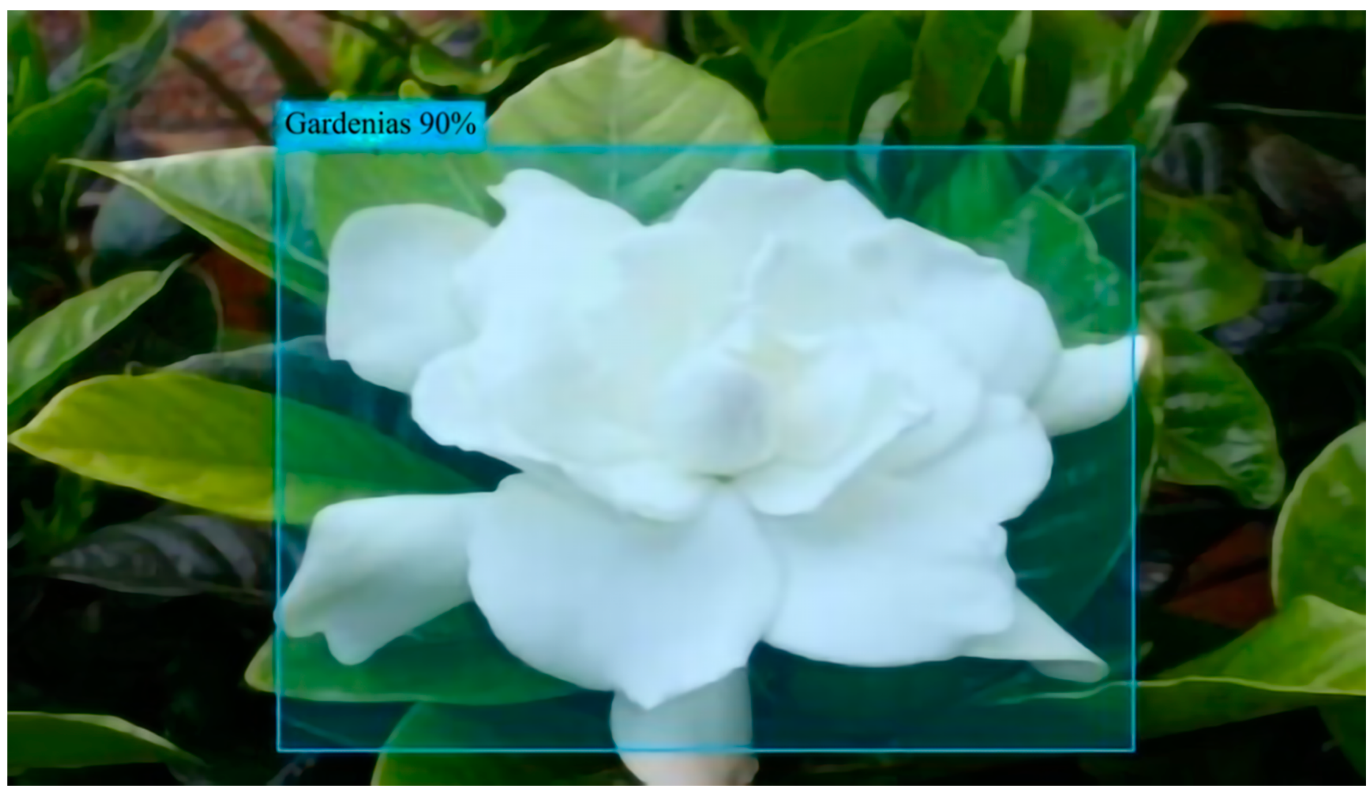 Horticulturae 10 00517 g016b