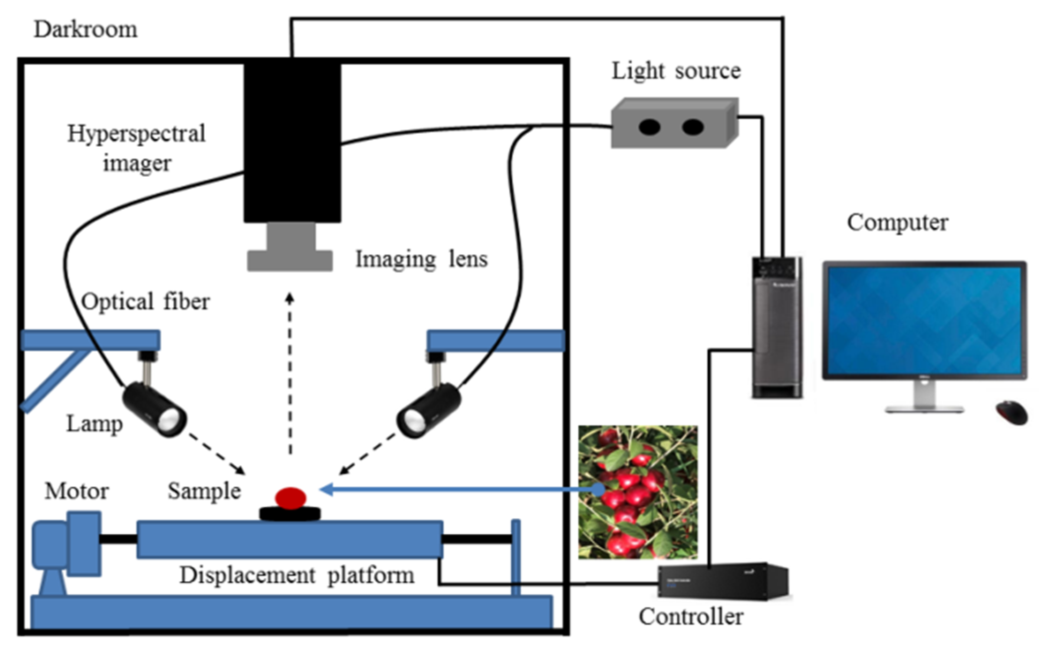 Horticulturae 10 00519 g002