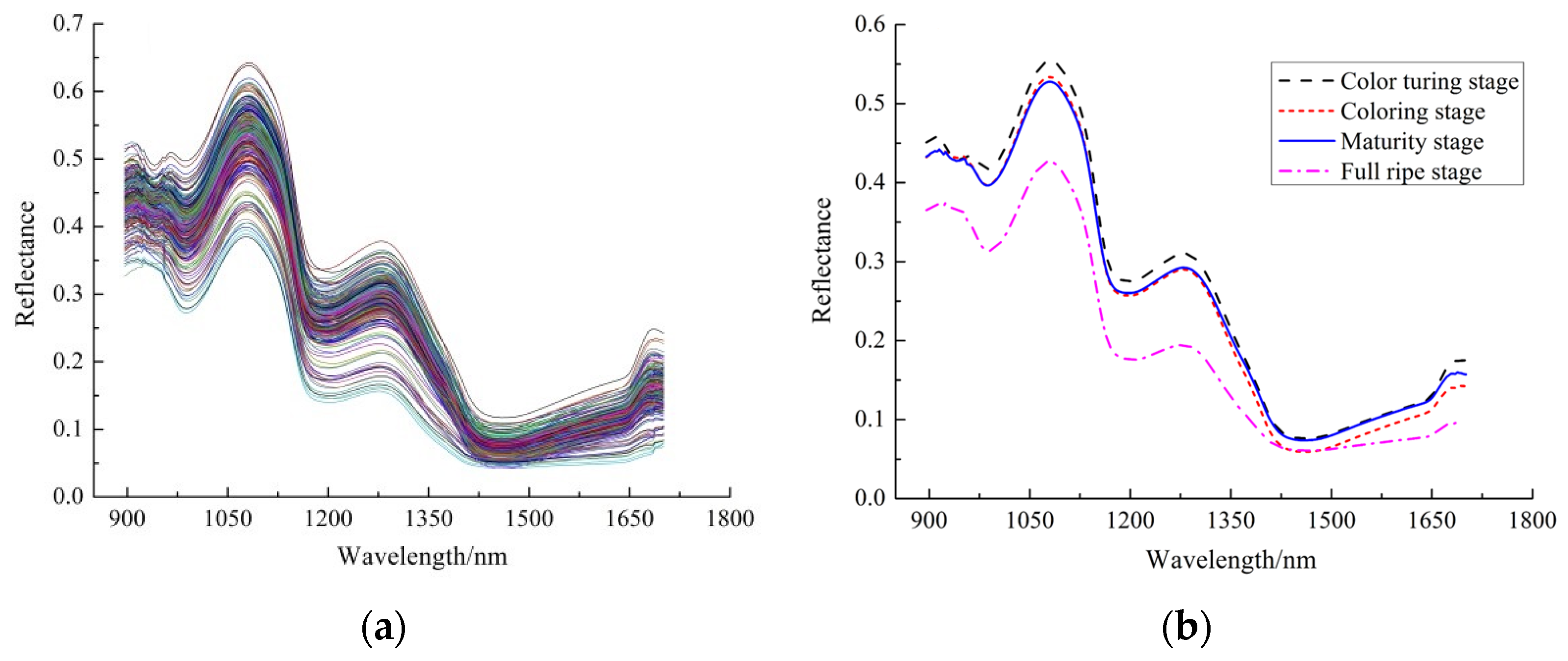 Horticulturae 10 00519 g003