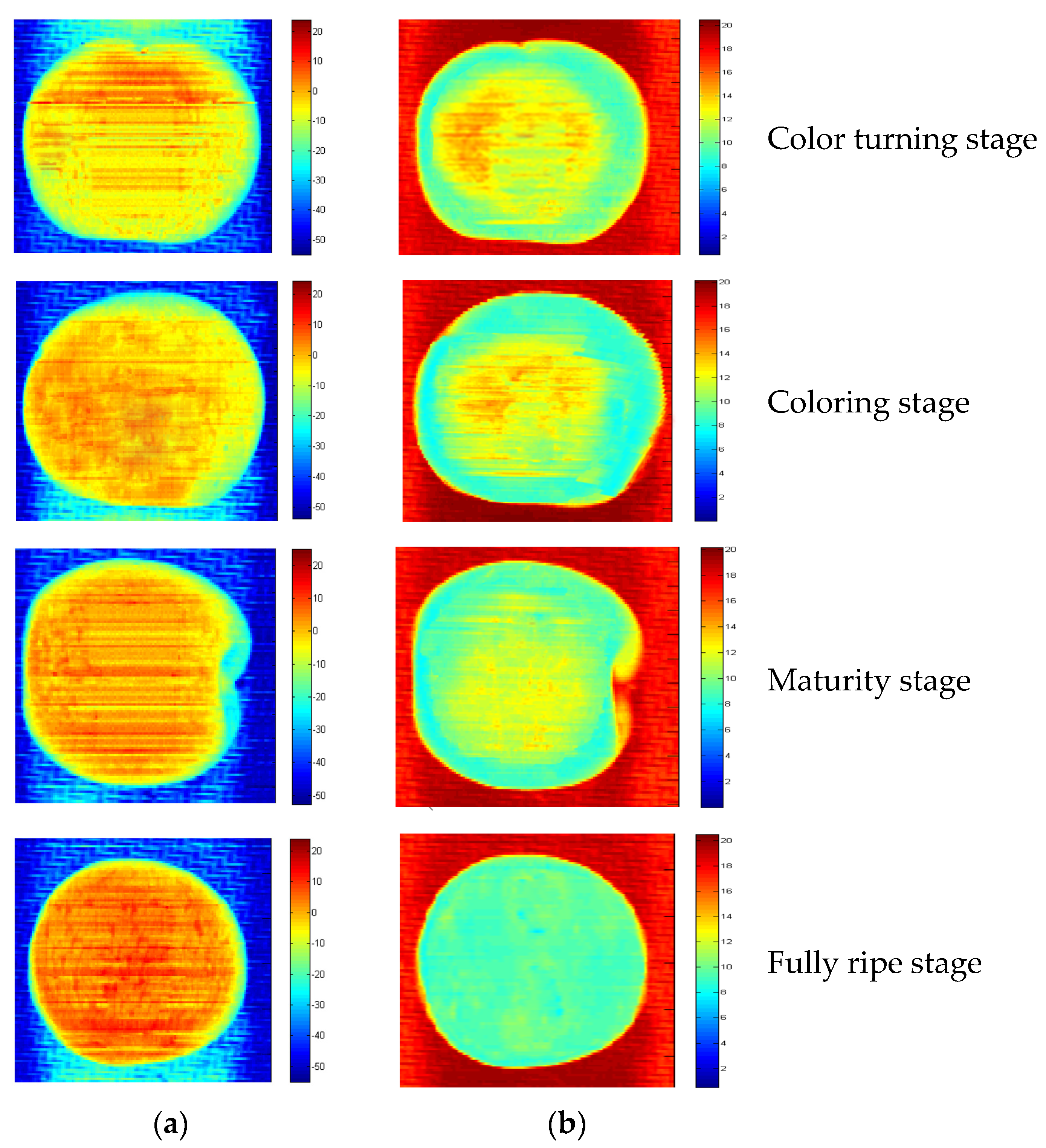 Horticulturae 10 00519 g014