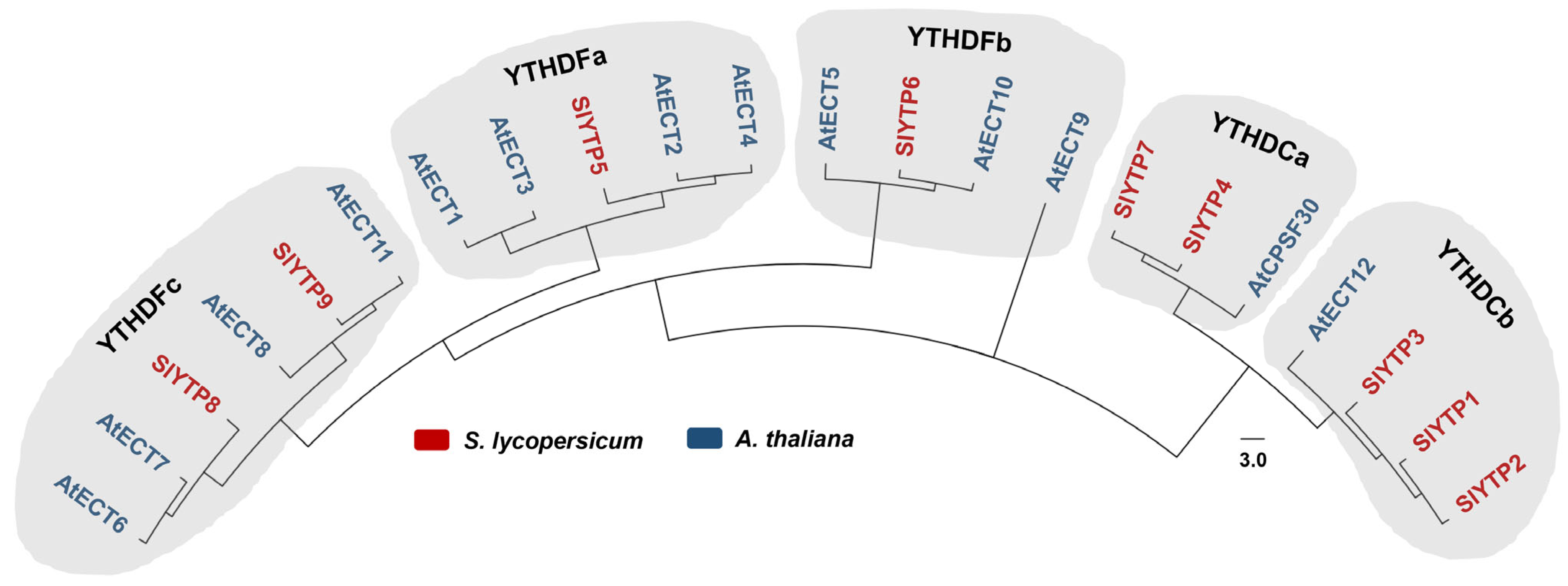 Horticulturae 10 00522 g001