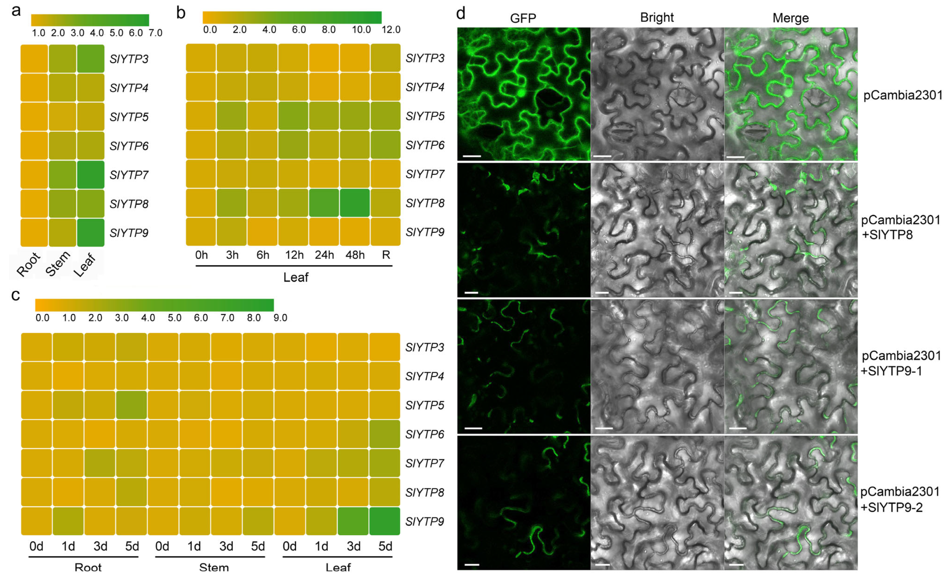 Horticulturae 10 00522 g002