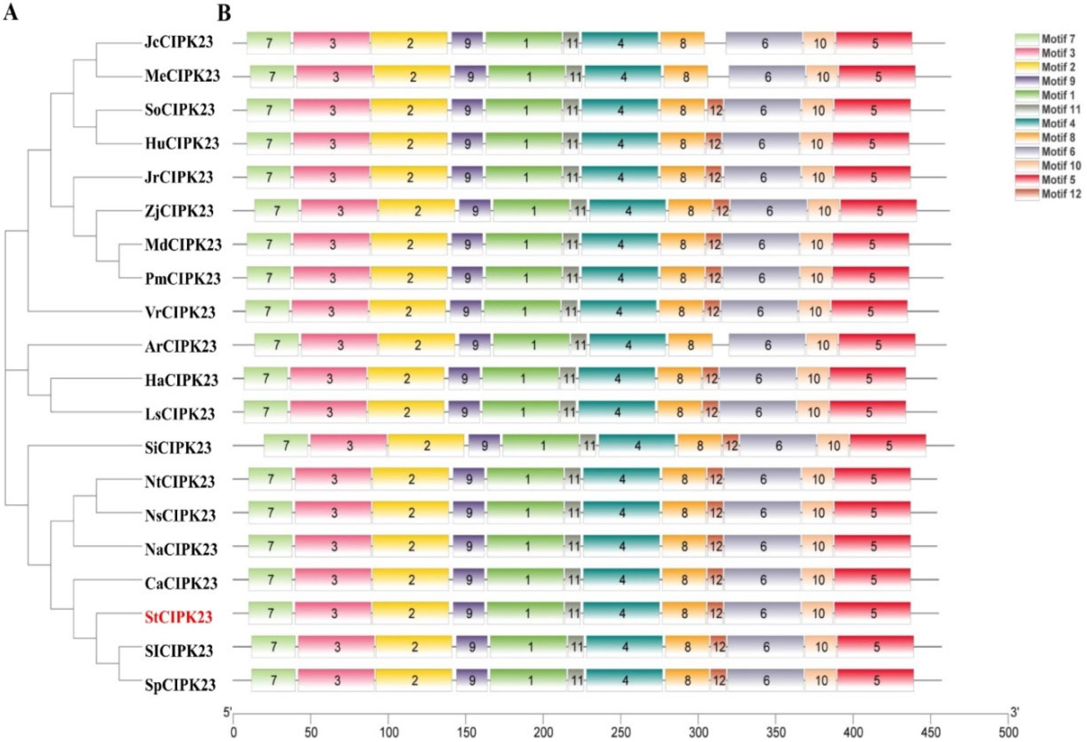 Horticulturae 10 00526 g001