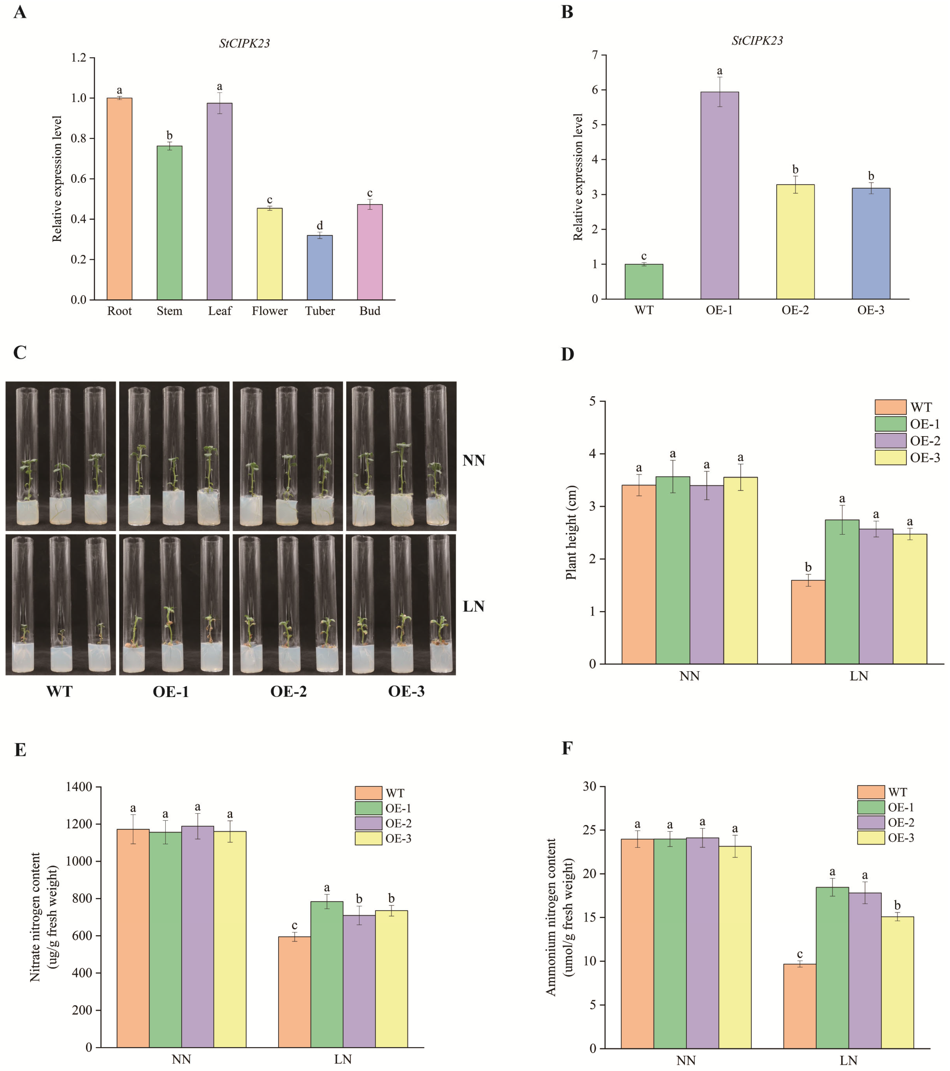 Horticulturae 10 00526 g003