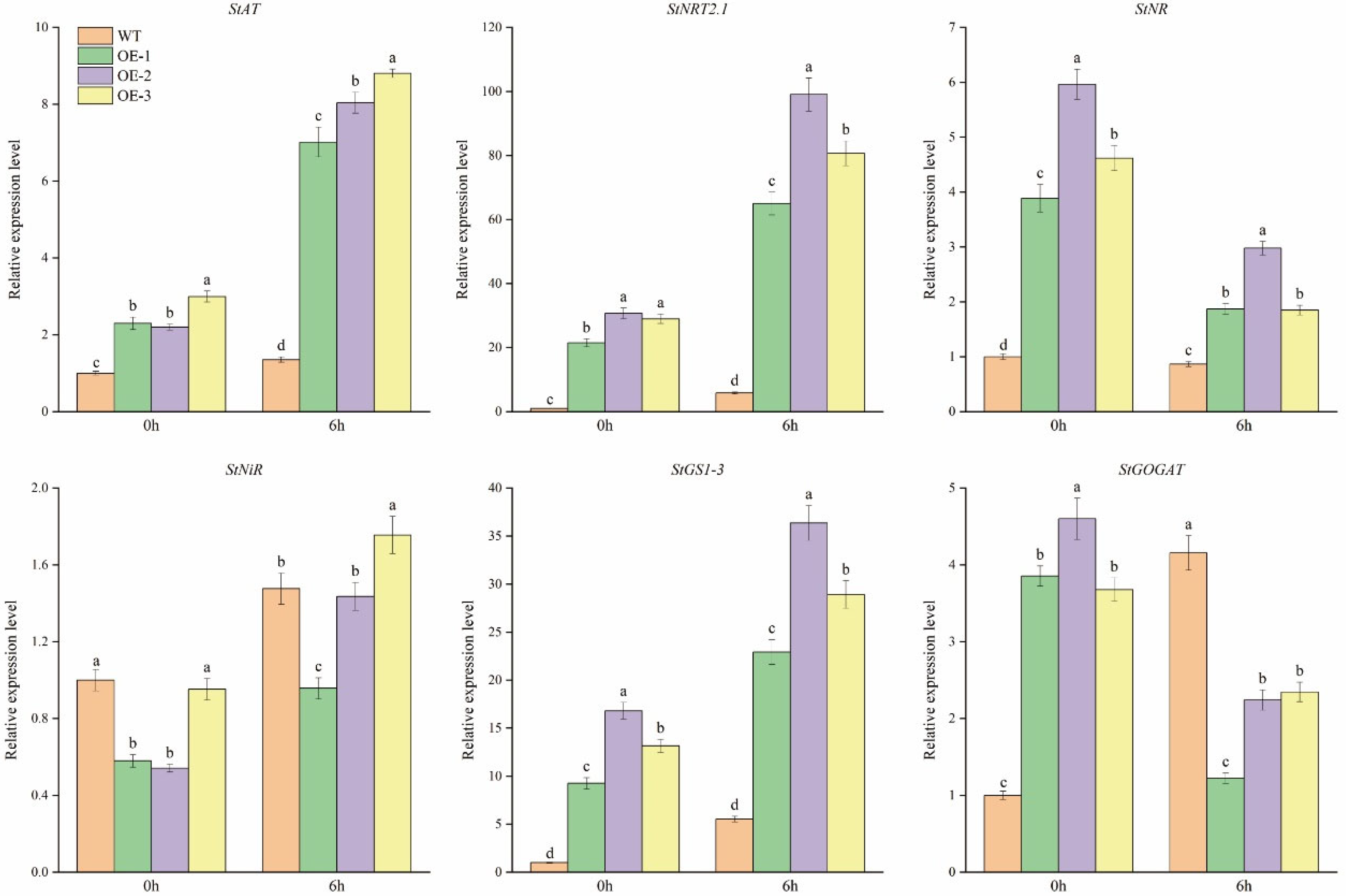 Horticulturae 10 00526 g004