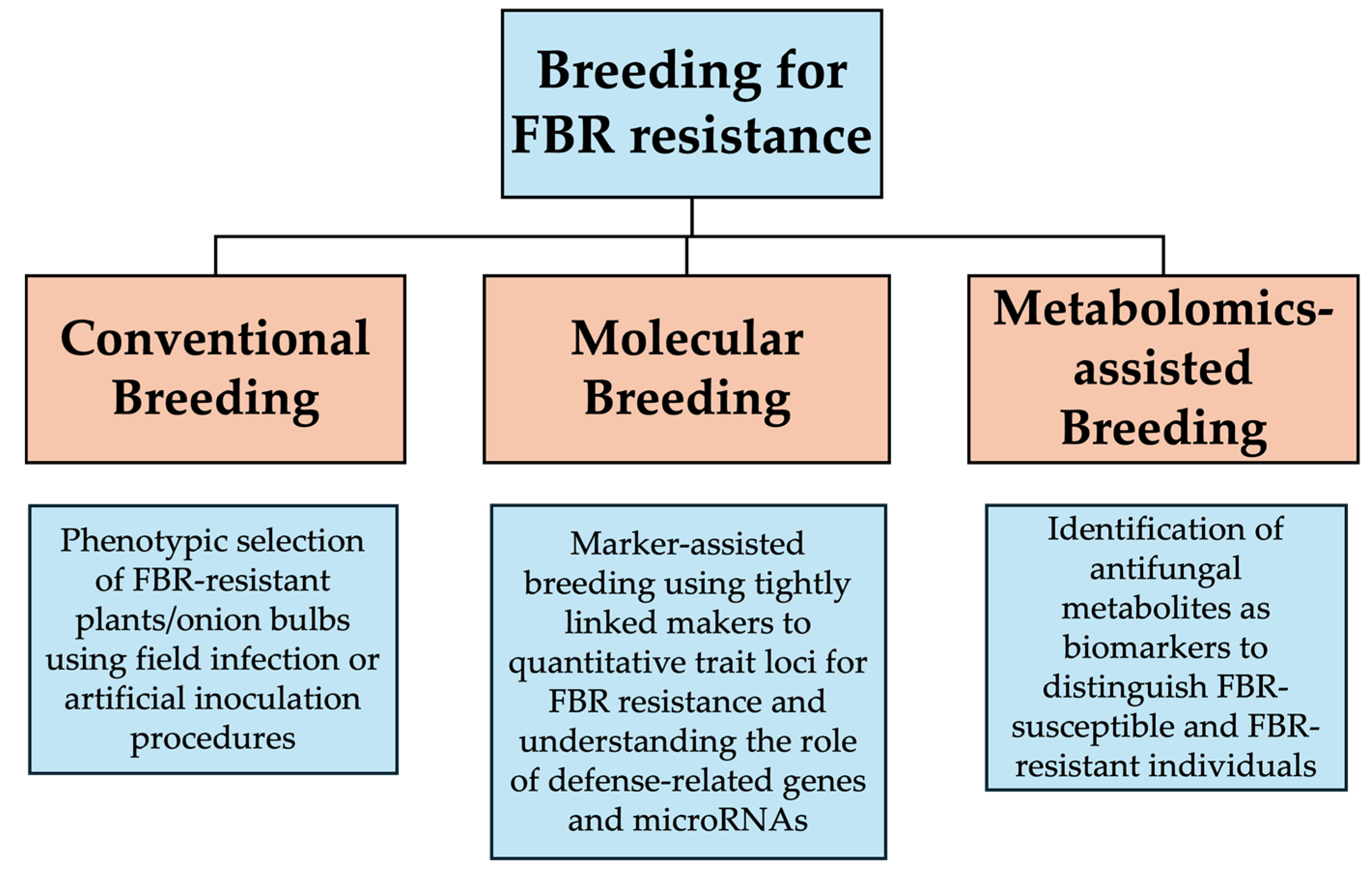 Horticulturae 10 00527 g001