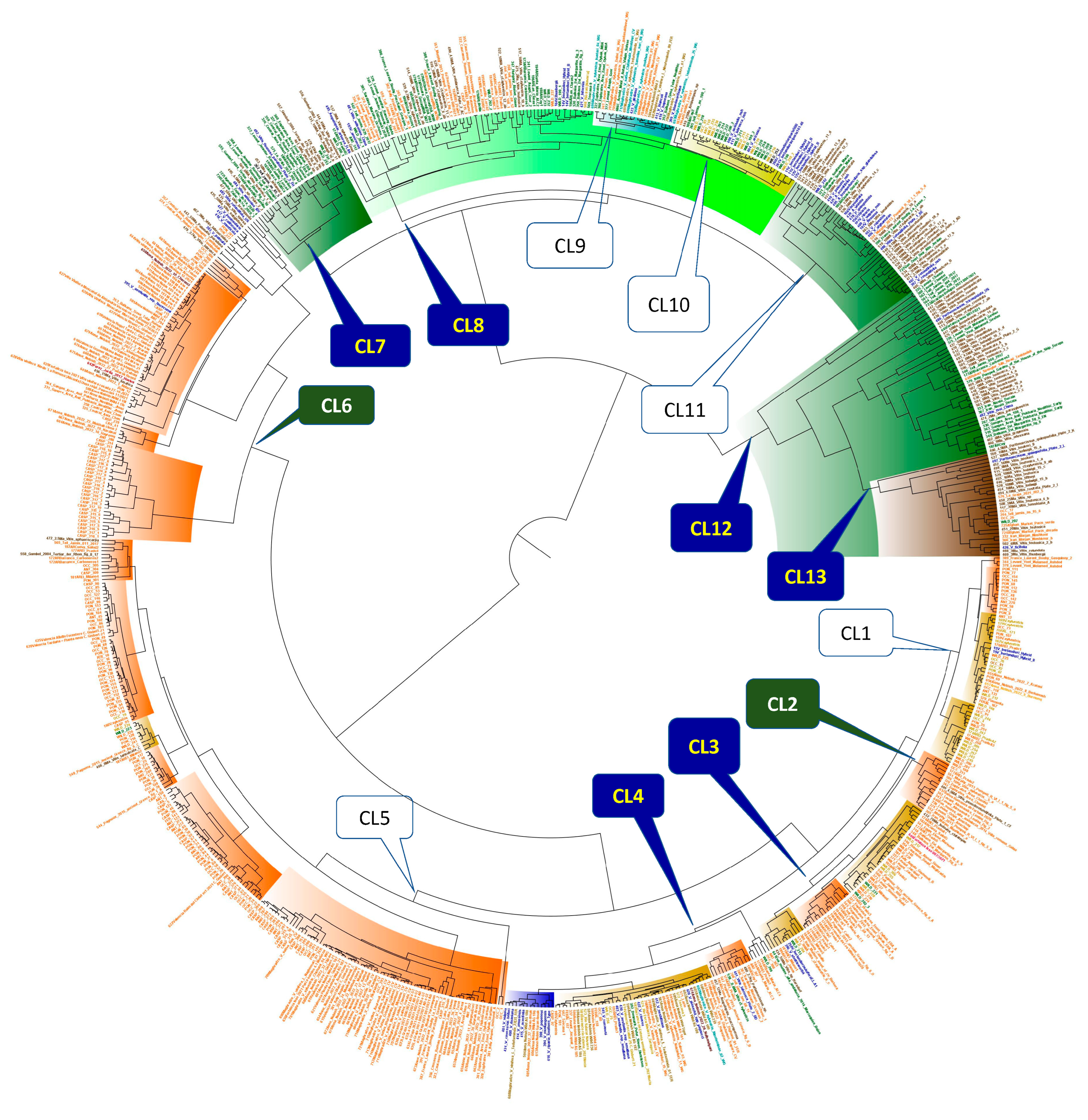 Horticulturae 10 00530 g002