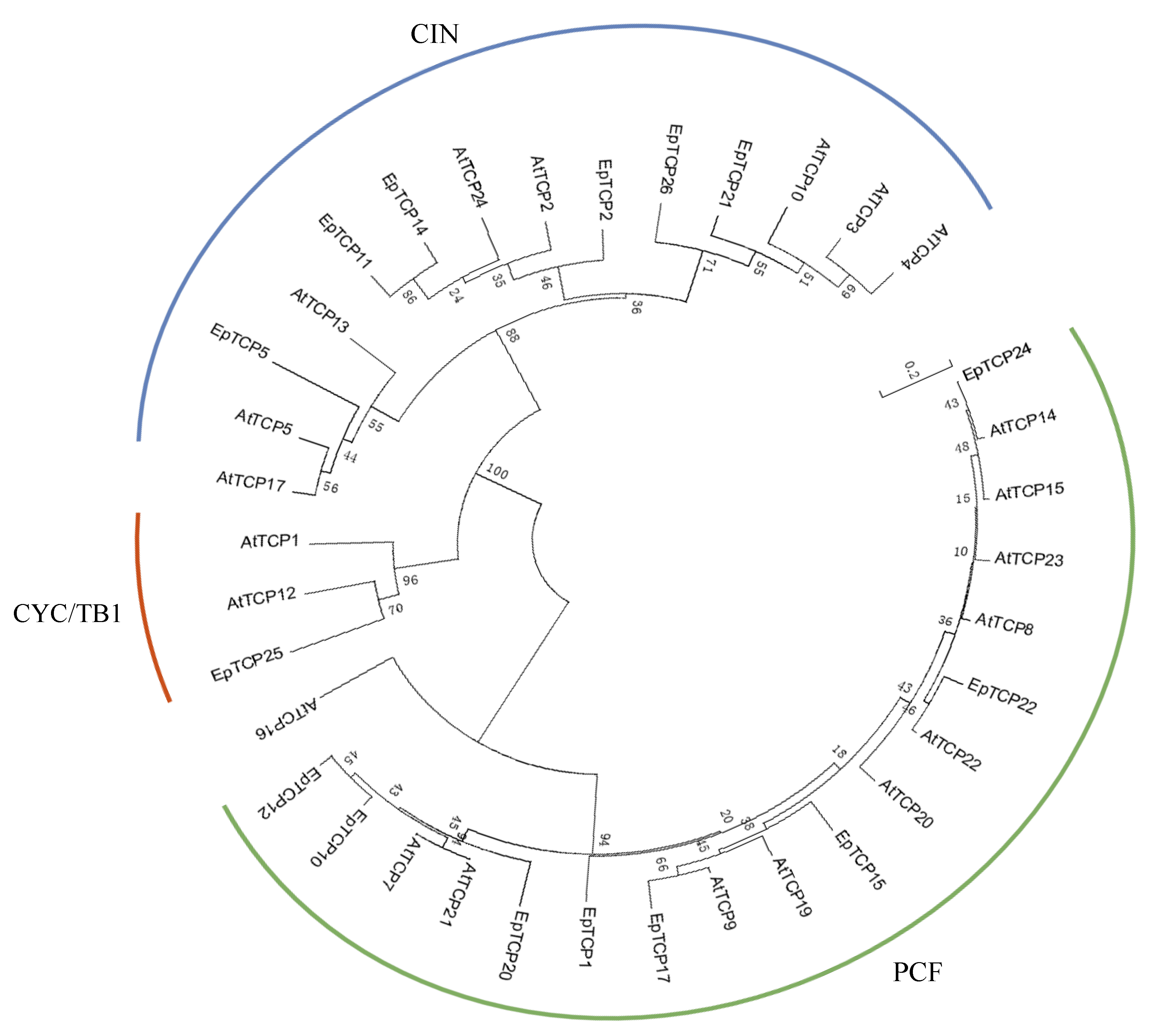 Horticulturae 10 00534 g001