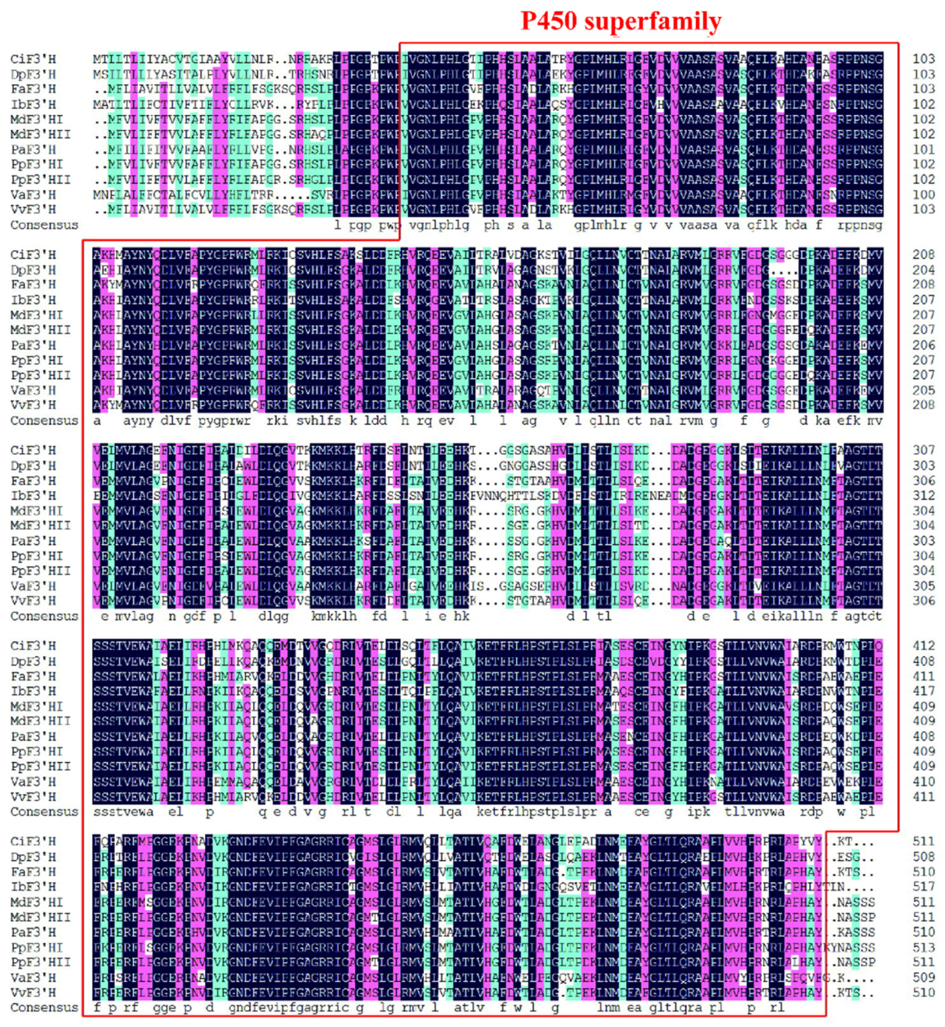 Horticulturae 10 00535 g001