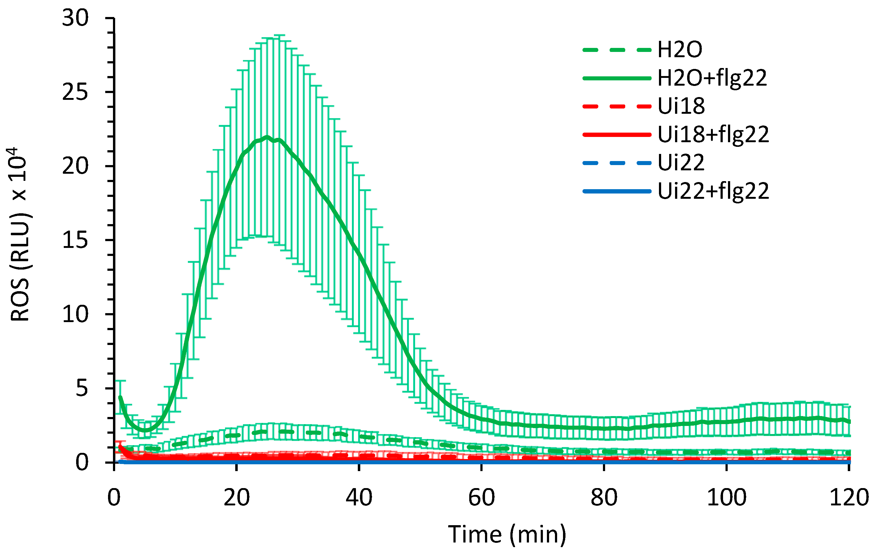 Horticulturae 10 00536 g003