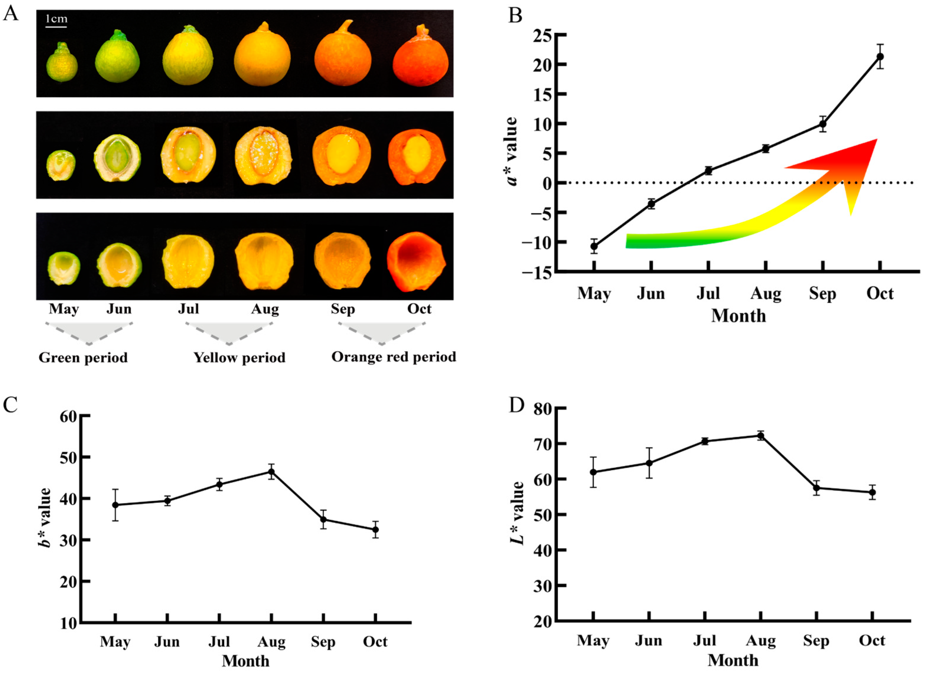 Horticulturae 10 00540 g001