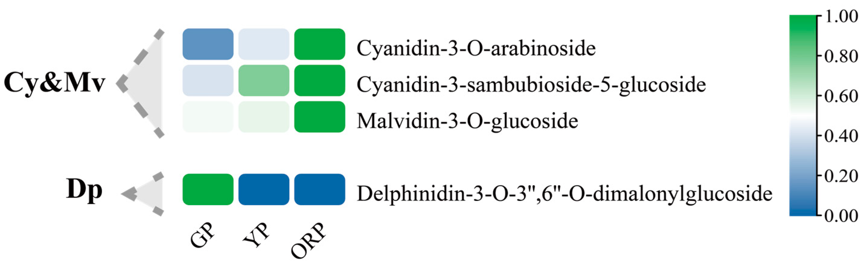 Horticulturae 10 00540 g004