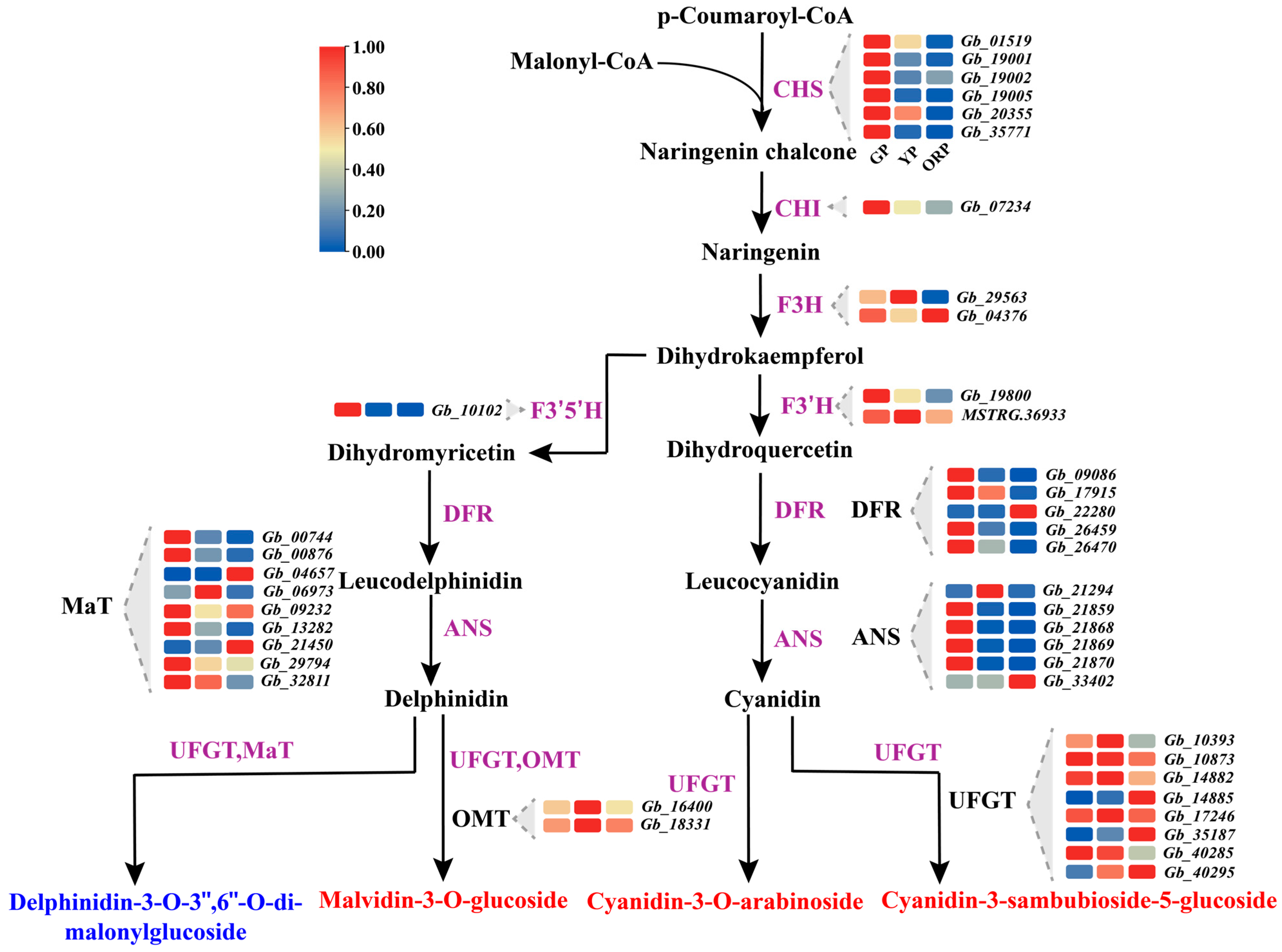 Horticulturae 10 00540 g006