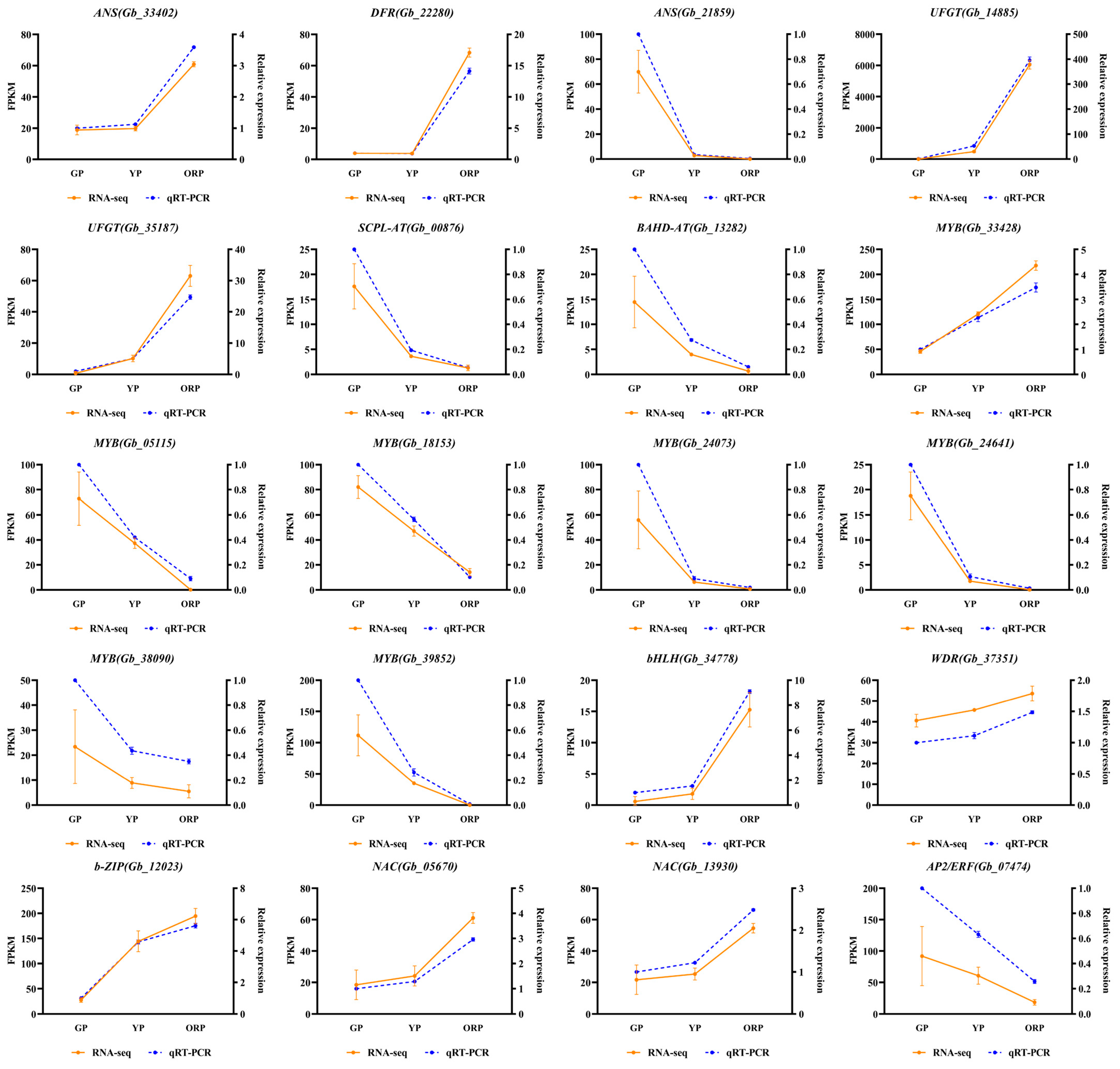 Horticulturae 10 00540 g008