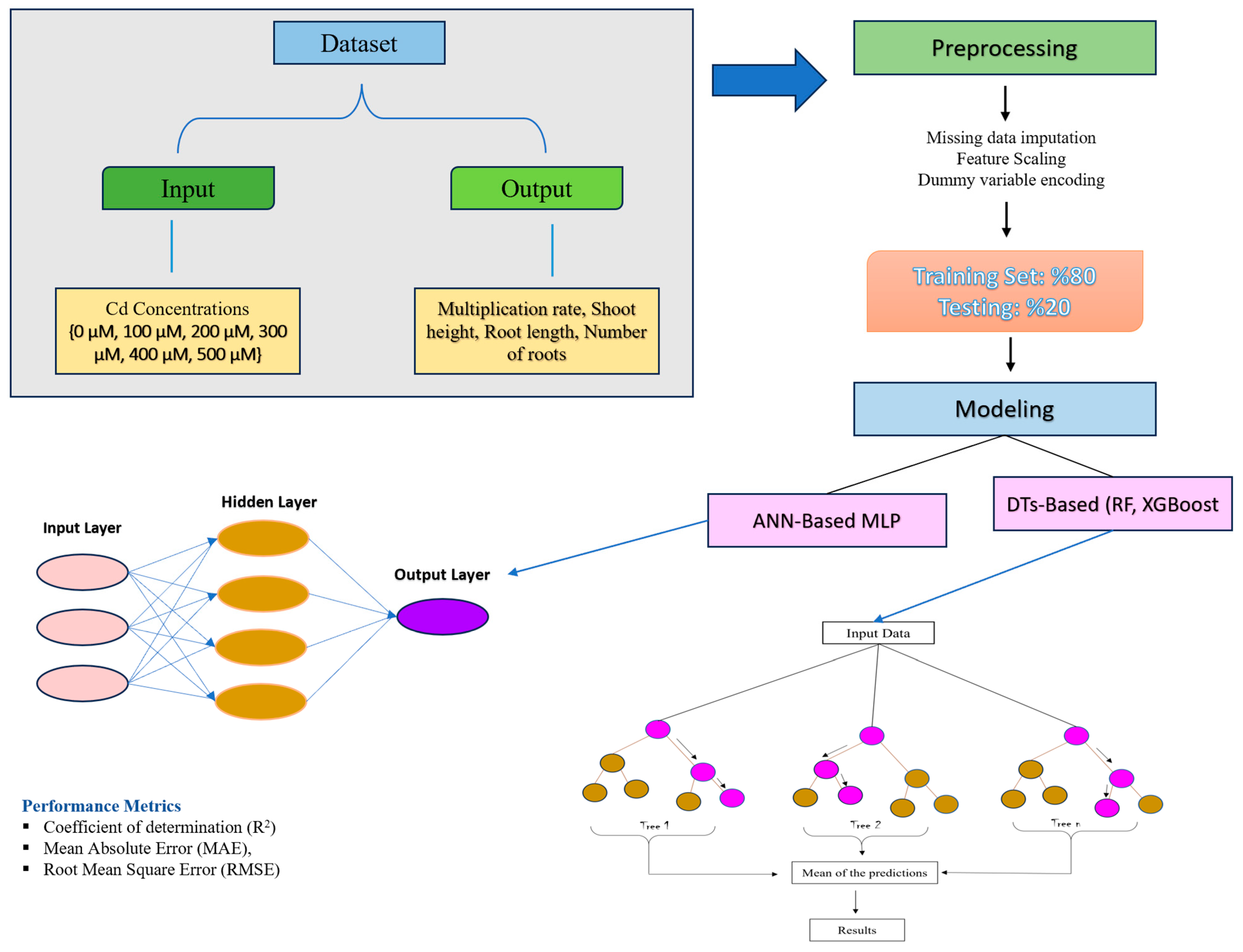 Horticulturae 10 00542 g001