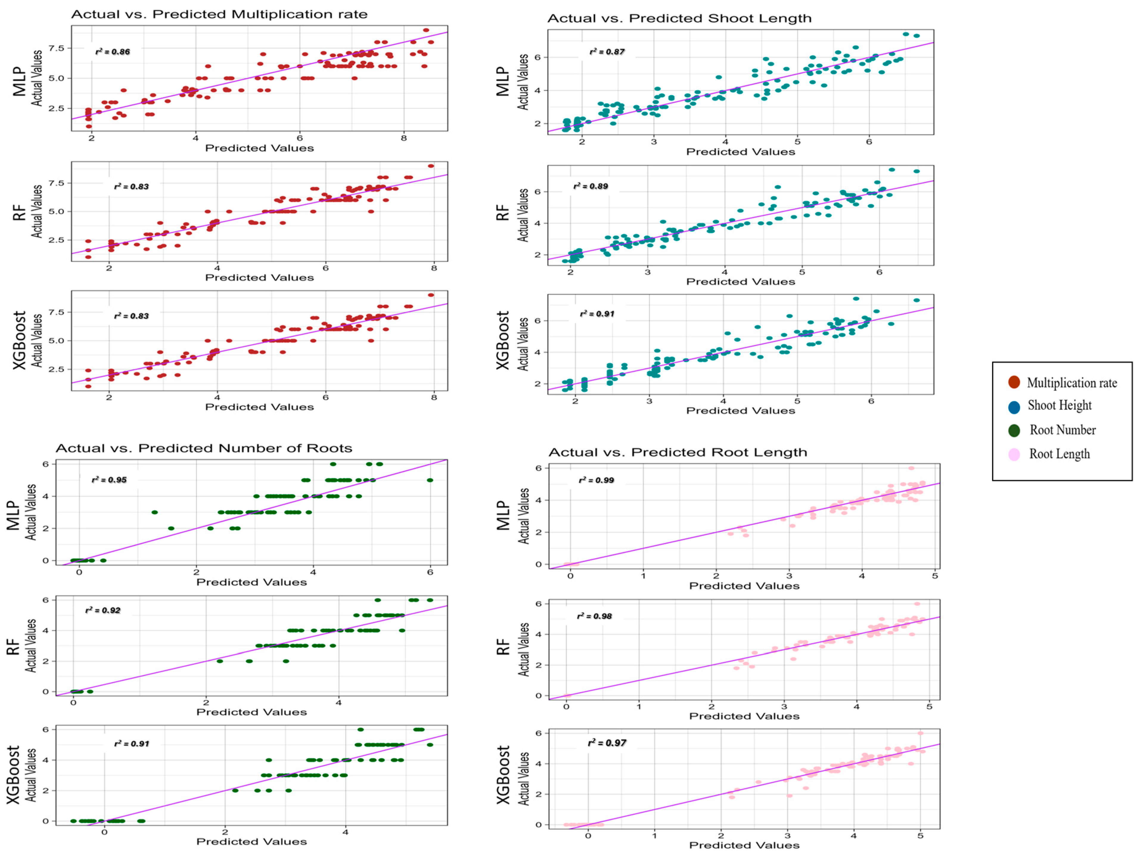 Horticulturae 10 00542 g005