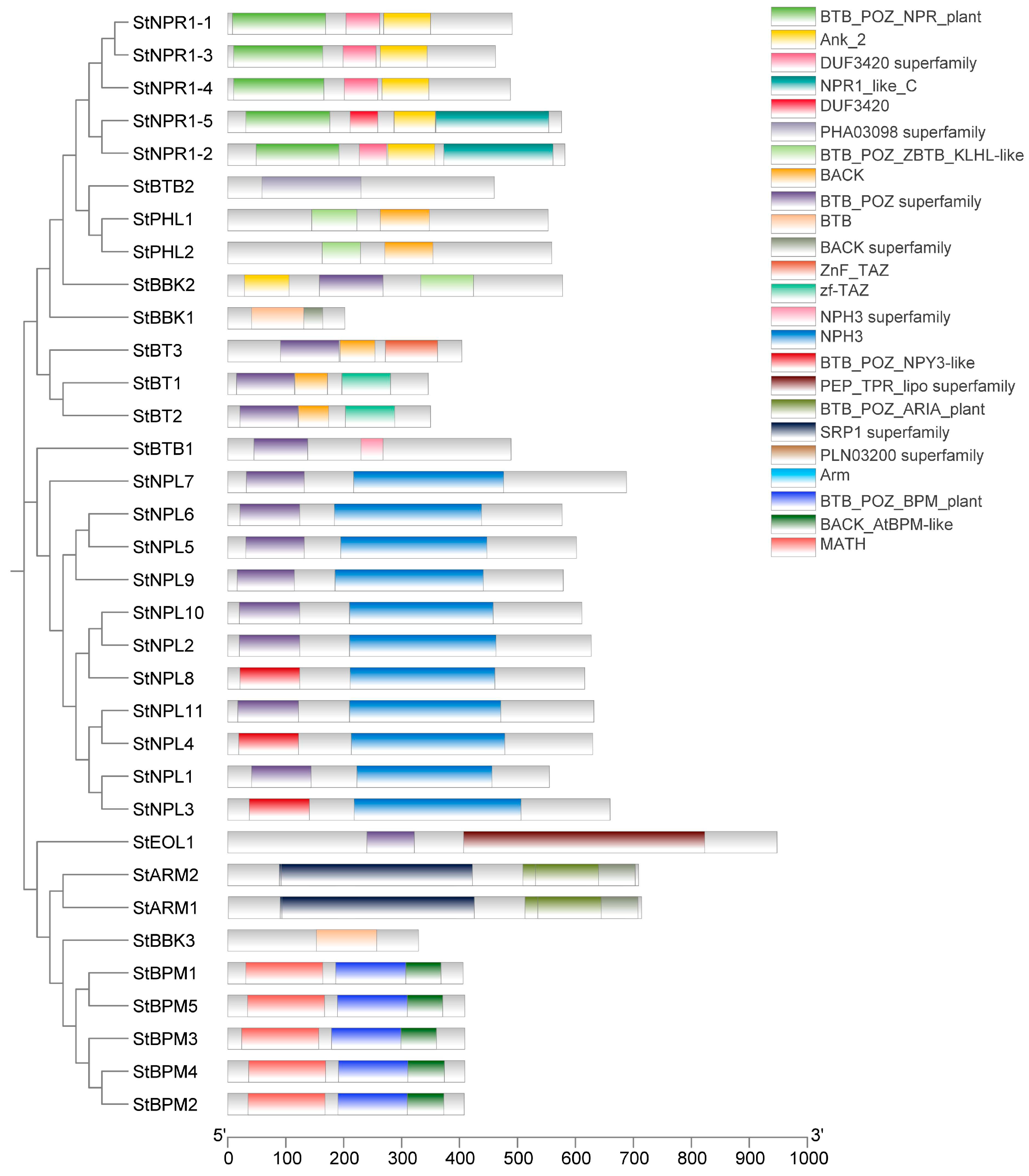 Horticulturae 10 00543 g003