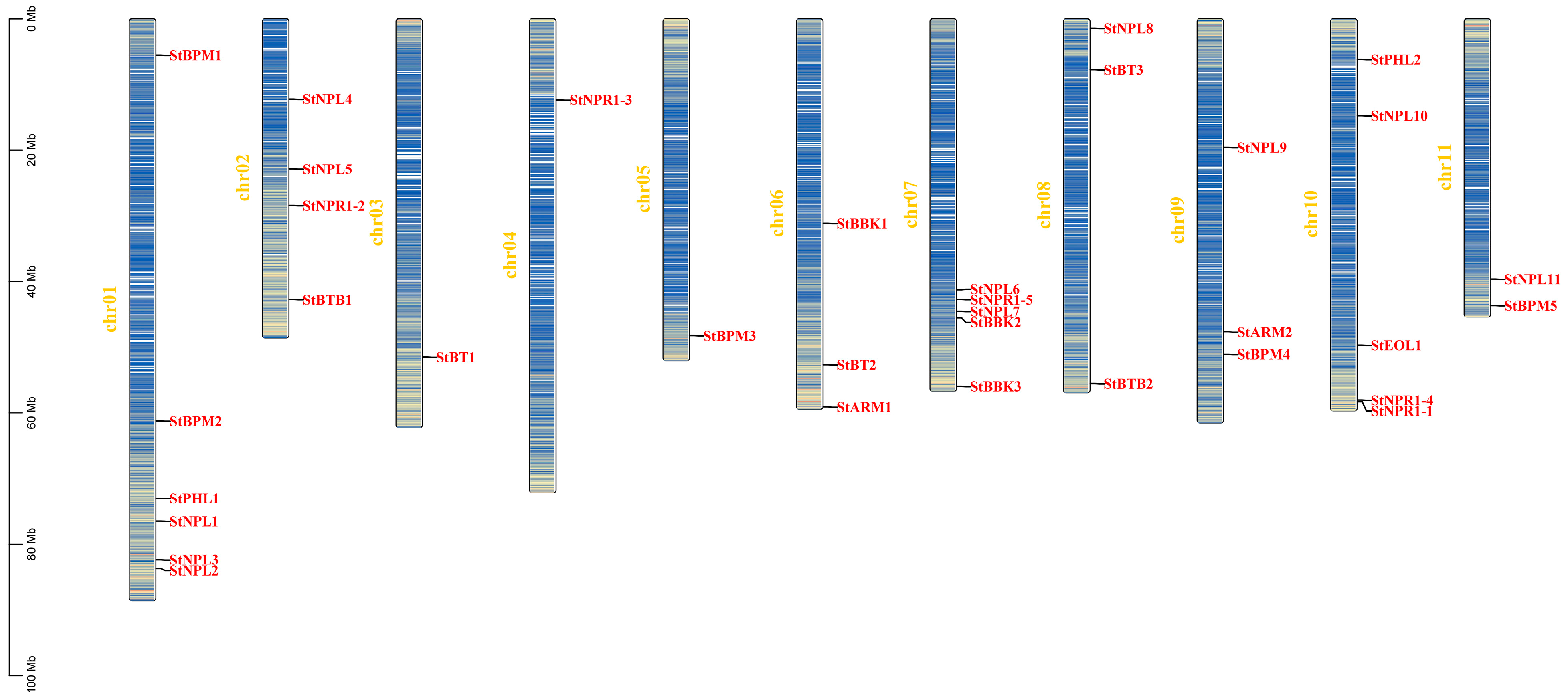 Horticulturae 10 00543 g004