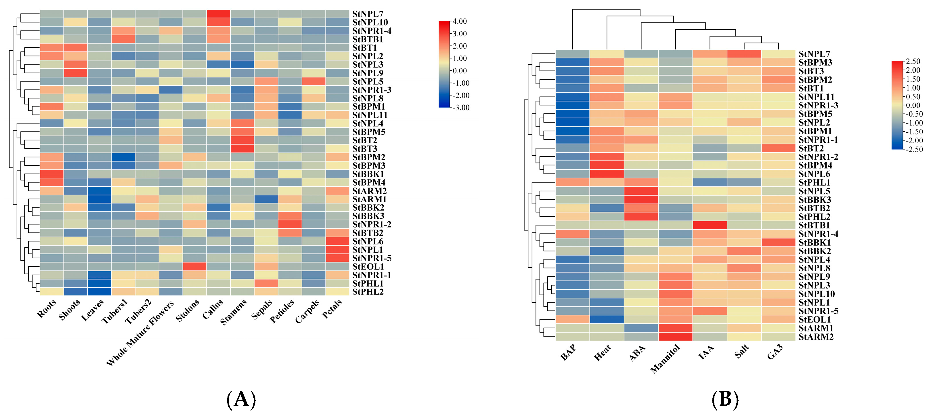 Horticulturae 10 00543 g007