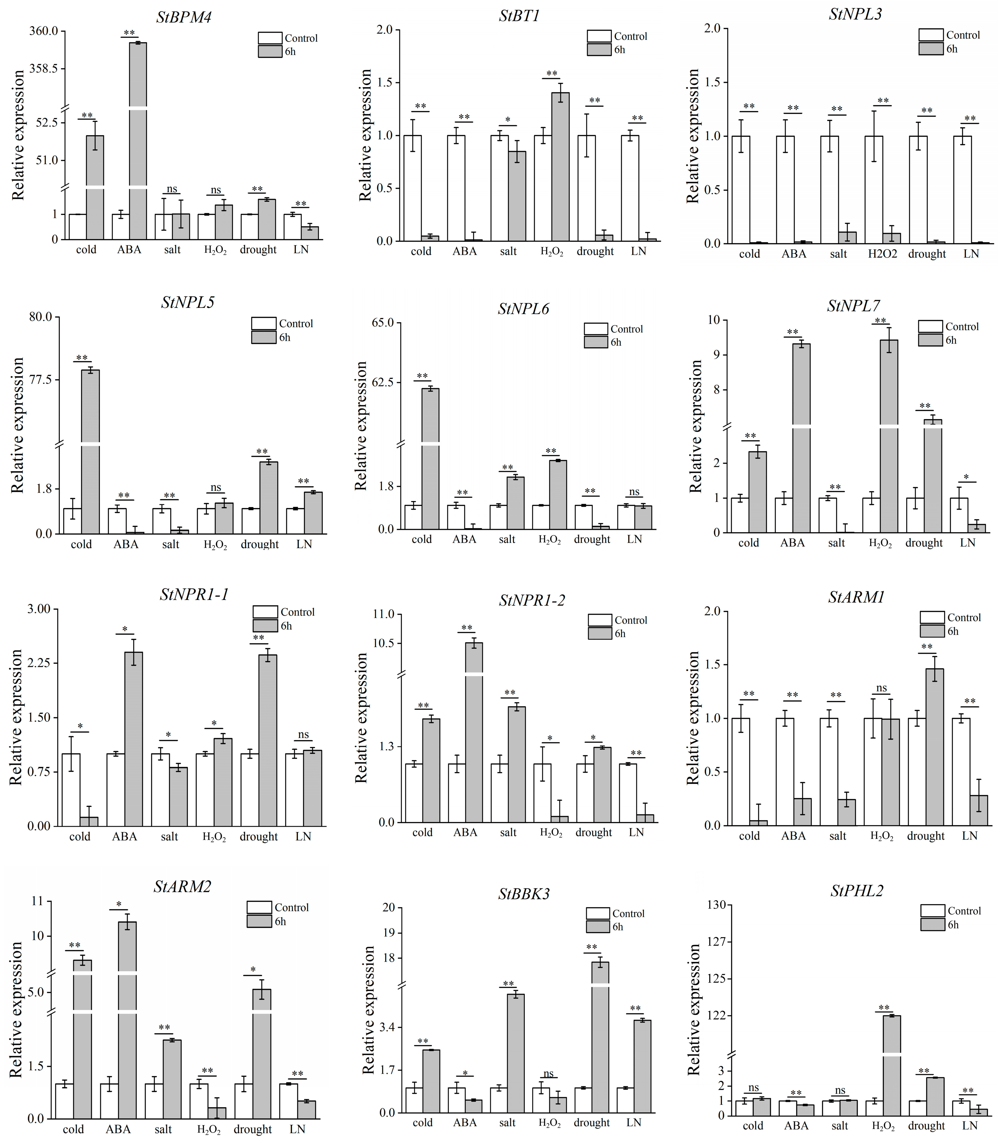 Horticulturae 10 00543 g008